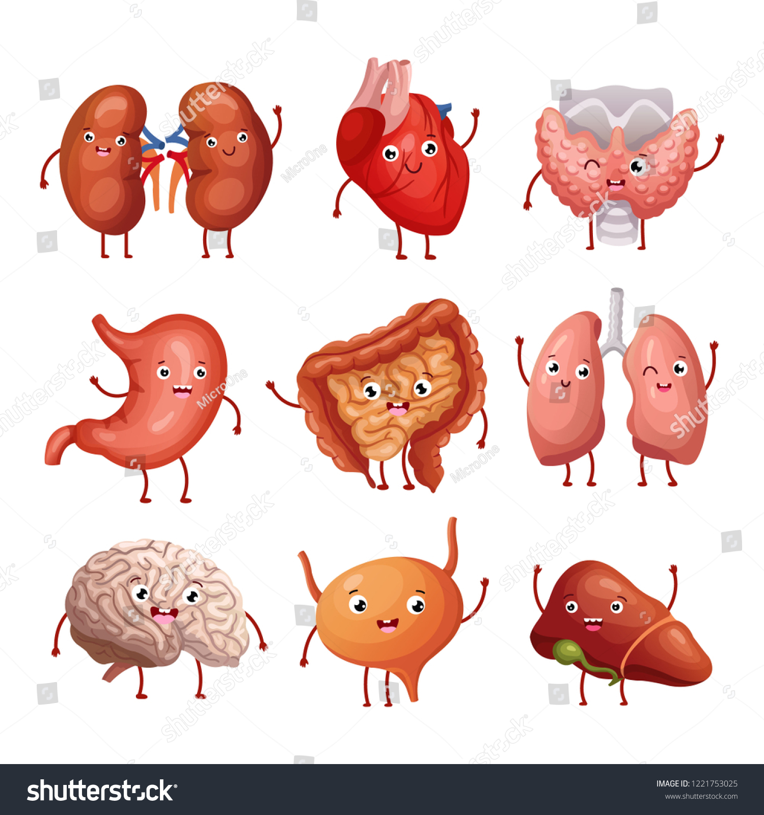 Cute Cartoon Human Organs Stomach Lungs Stock Vector (Royalty Free ...