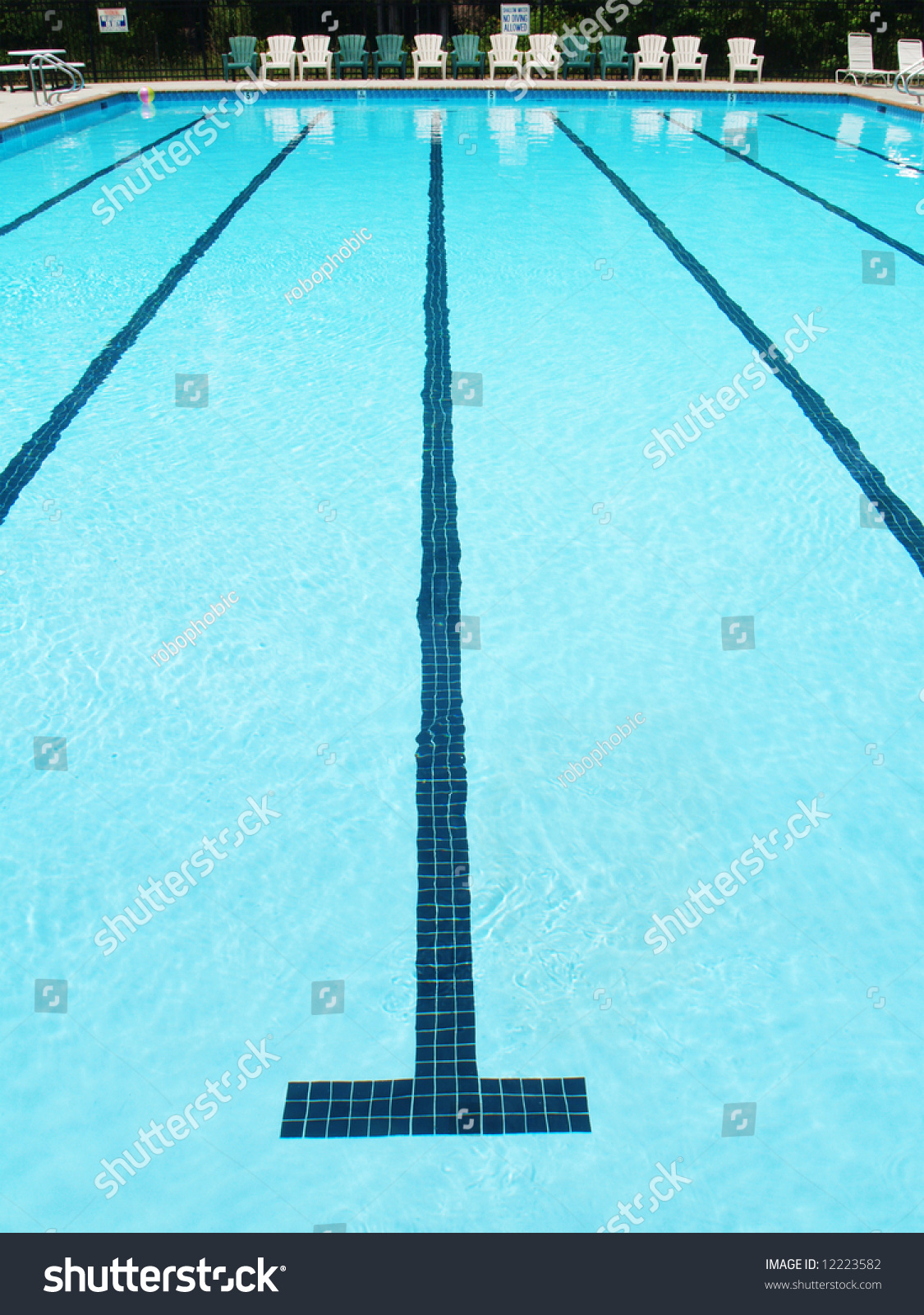 Olympic Sized Swimming Pool Lane Stripe Stock Photo 12223582 | Shutterstock