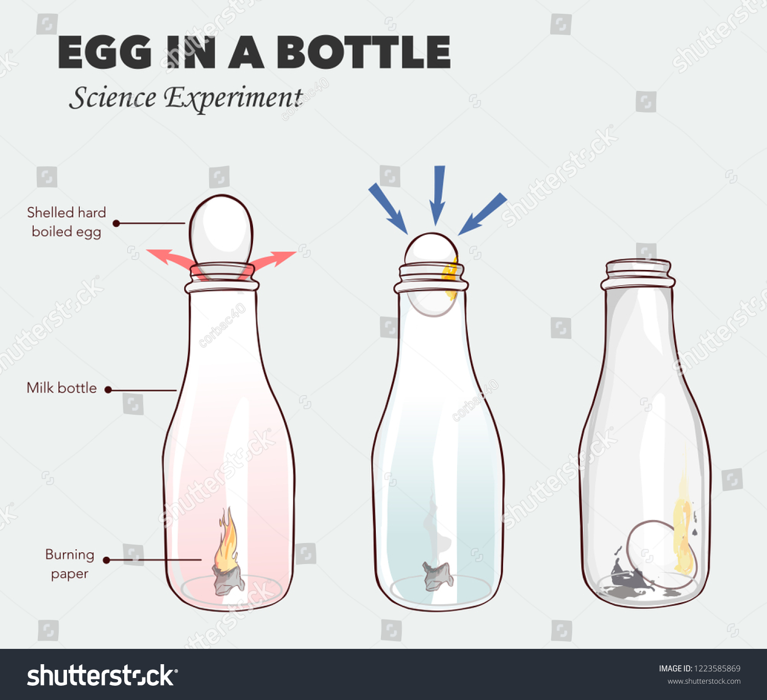 coca cola egg science experiment