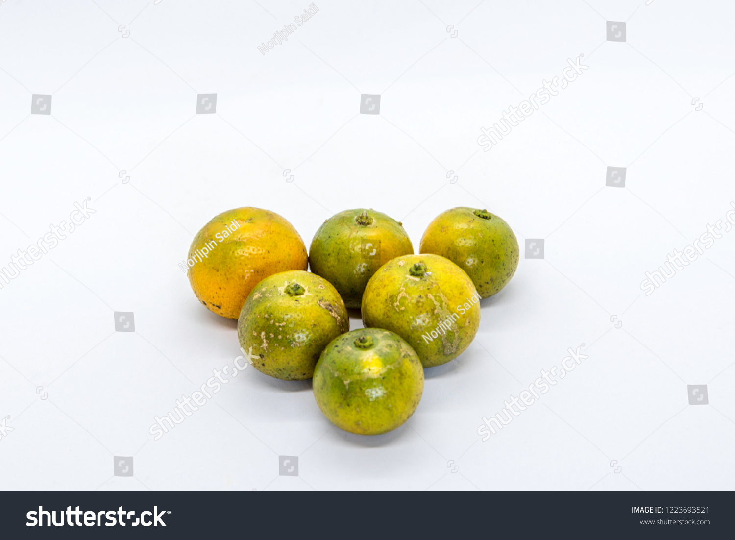 White Background Calamondin Known Calamansi Limau Stock Photo