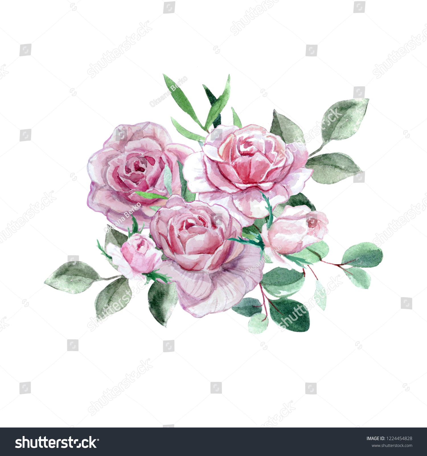 Watercolor Pink Roses Eucalyptus Bouquet Isolated Stock Illustration ...