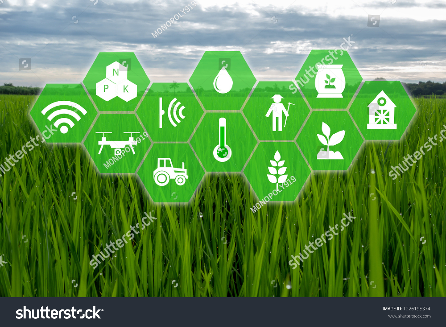 Iot Internet Thingsfarmer Agriculture Concept Smart Stock Photo ...