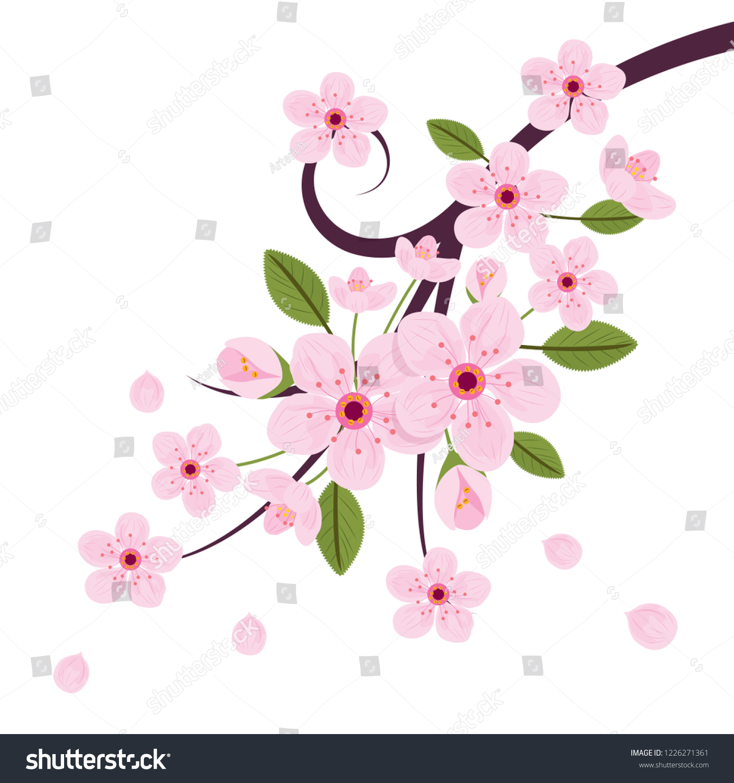 Pink Sakura Flower Stock Vector (Royalty Free) 1226271361 | Shutterstock