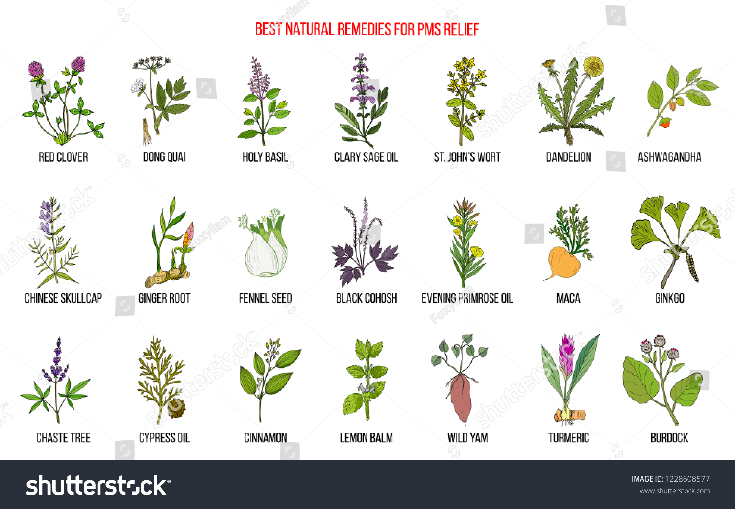 Herbal Remedies Pms Premenstrual Syndrome Hand Stock Vector (Royalty ...