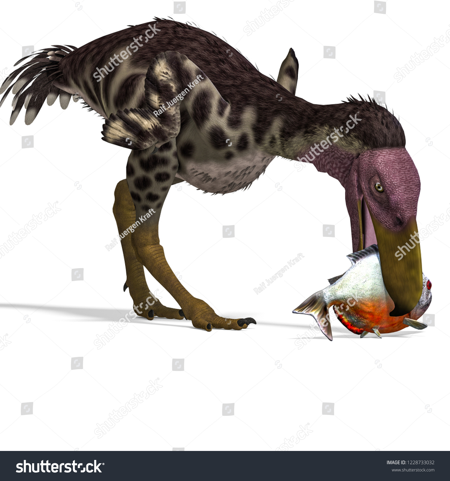 3d Illustration Dinosaur Terror Bird Kelenken Stock Illustration ...