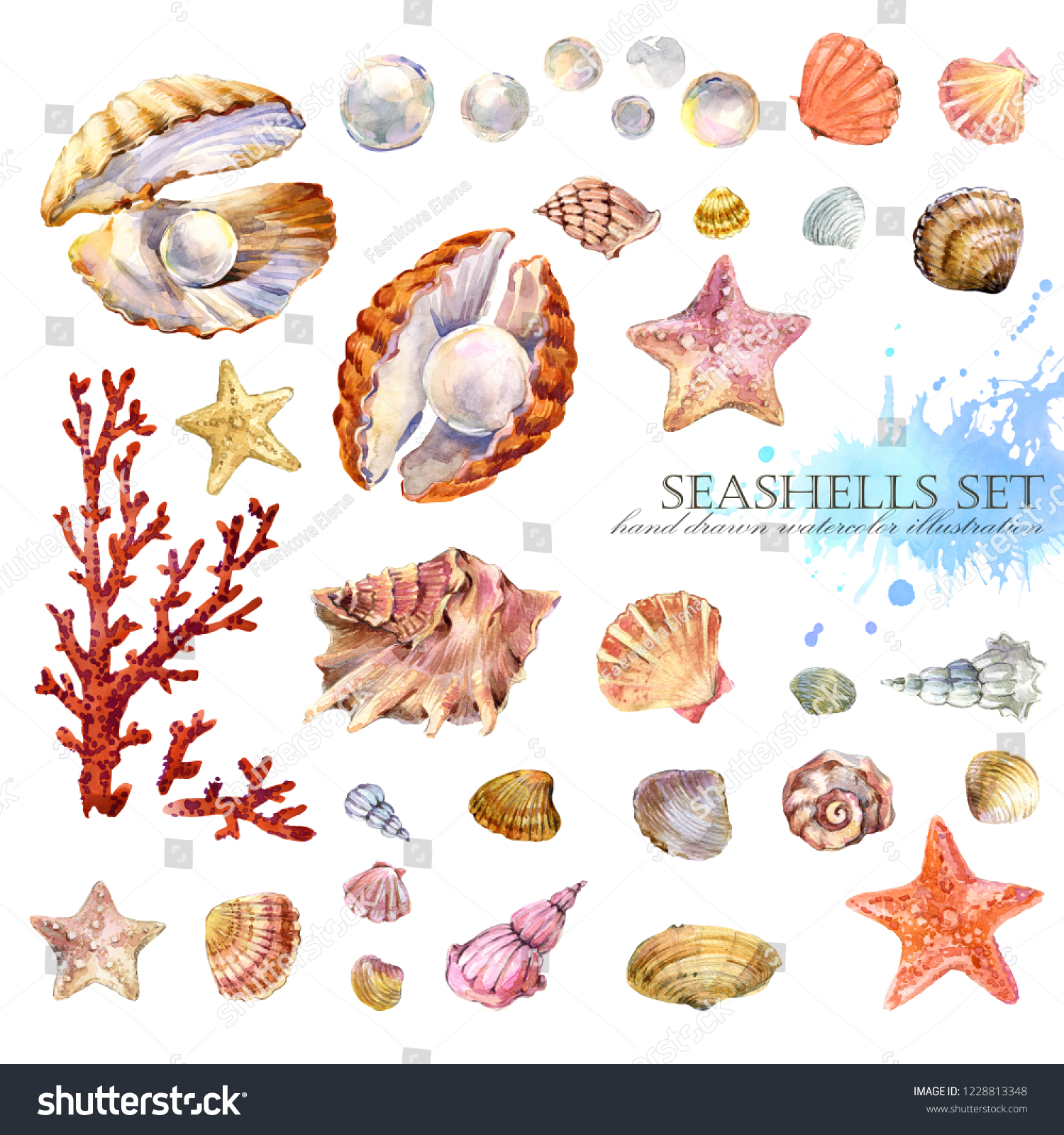 Watercolor Sea Ocean Seashell Set Stock Illustration 1228813348