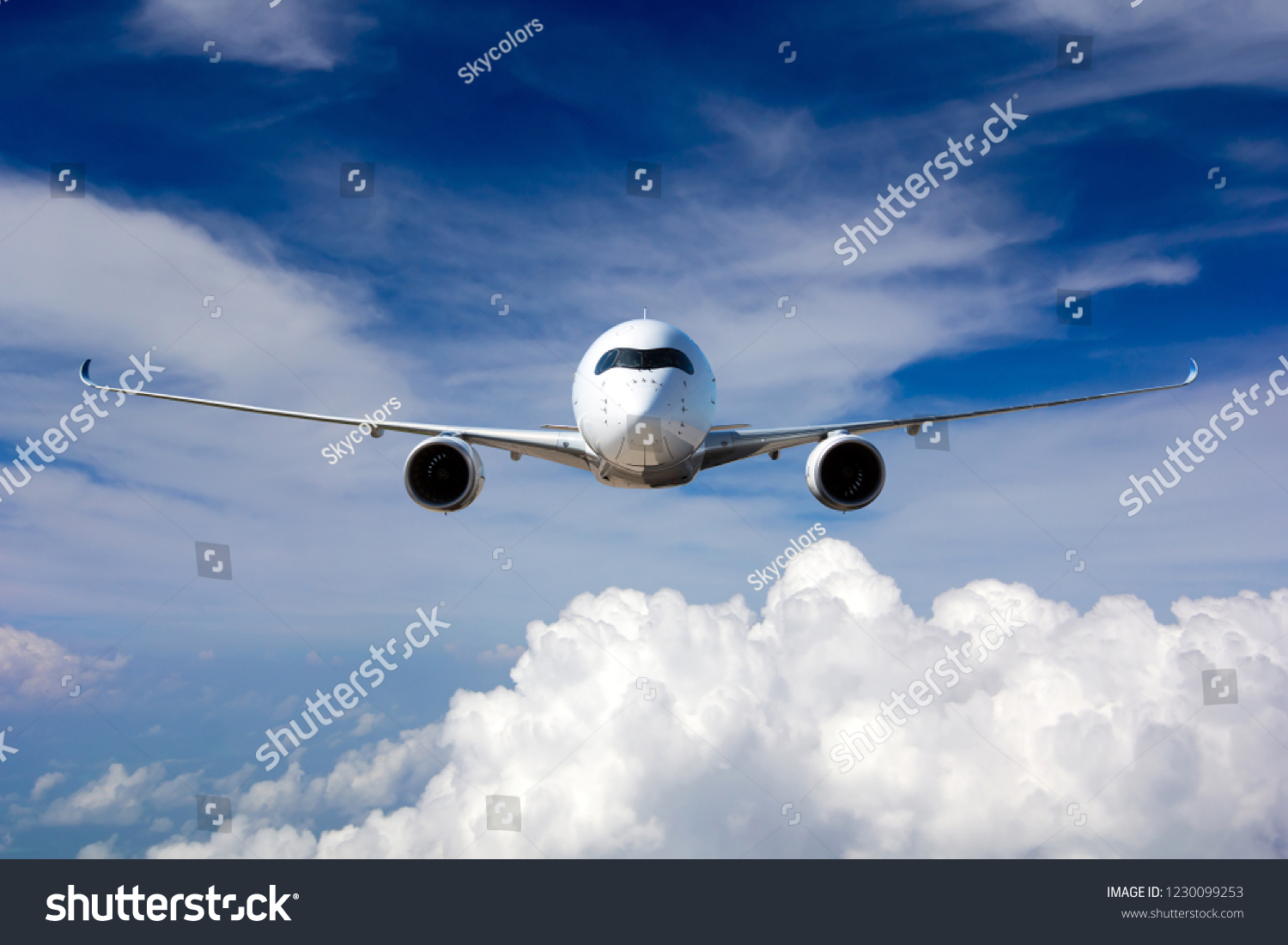 Front View Modern Aircraft Flight Passenger Stock Photo 1230099253 