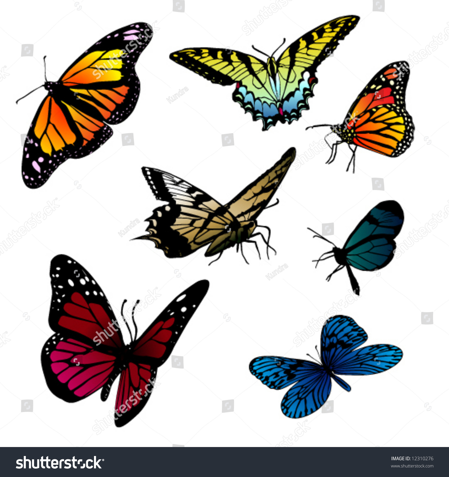 Set Different Butterflies Vector Stock Vector (Royalty Free) 12310276 ...