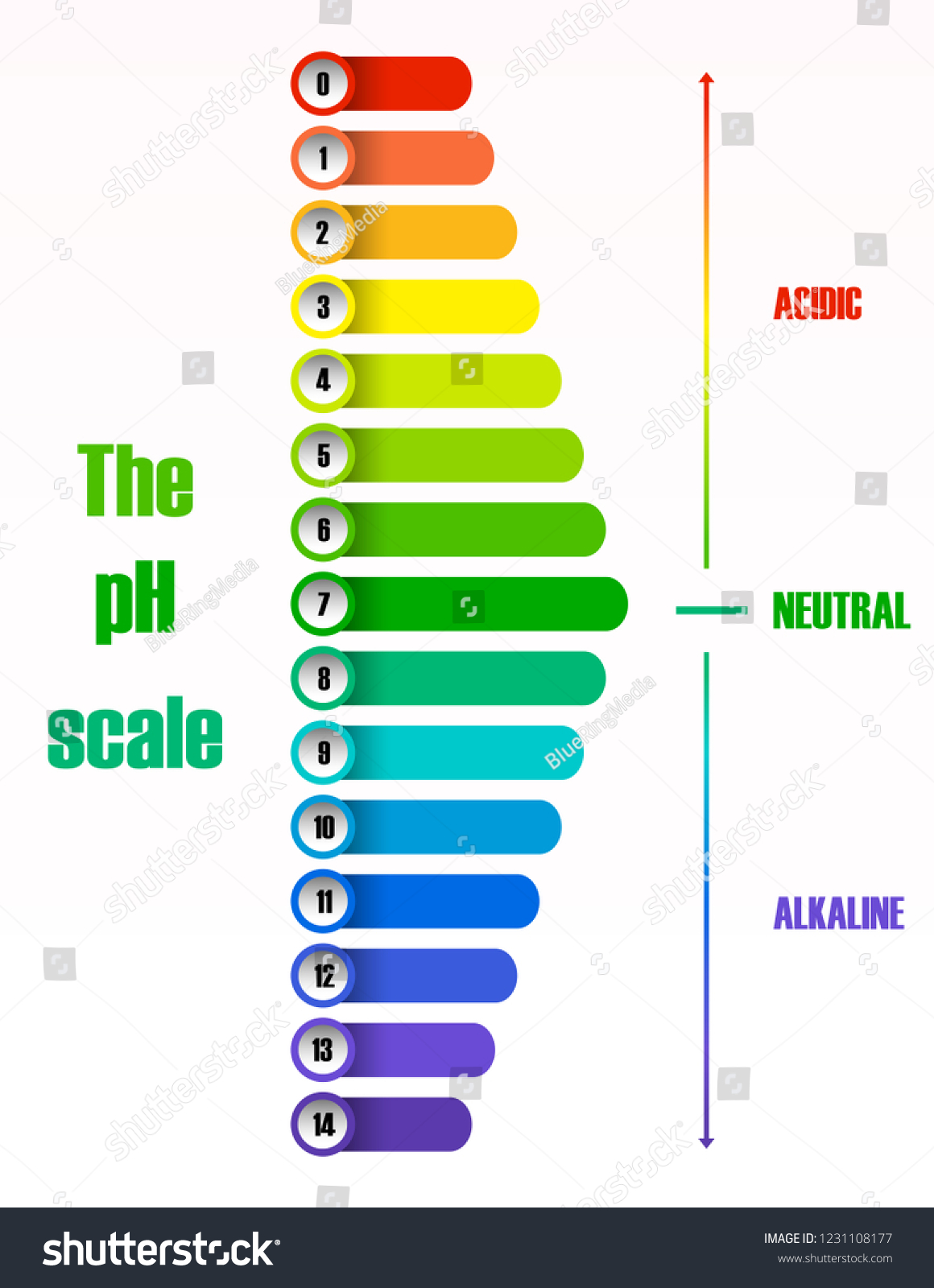 Ph Scale Diagram Illustration Stock Vector (Royalty Free) 1231108177 ...