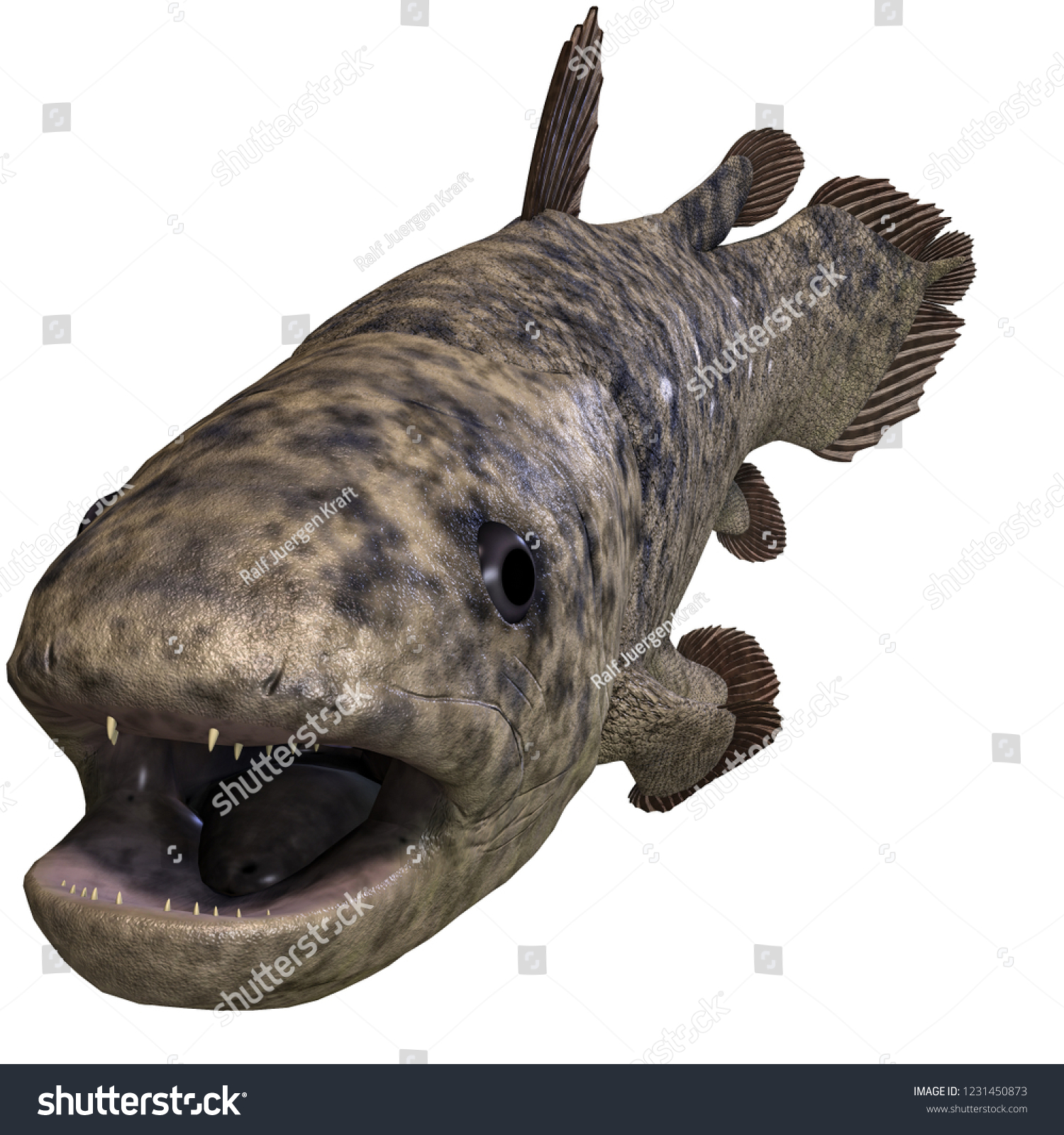 3d Illustration Dinosaur Fish Latimeria Over Stock Illustration ...