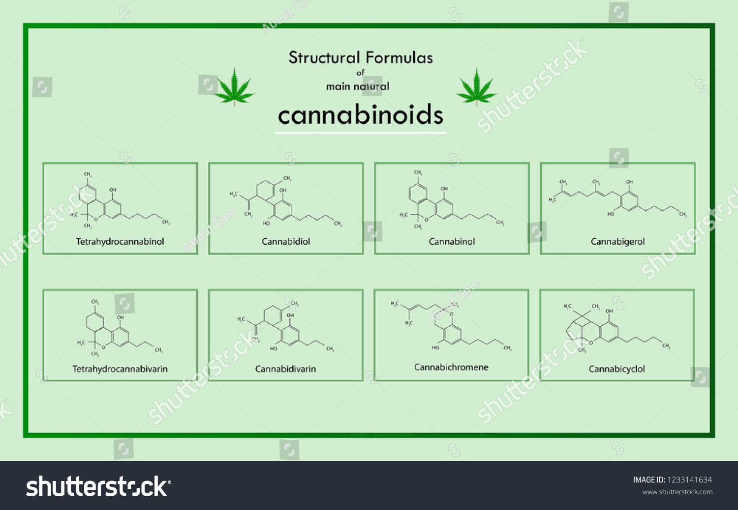 Structural Formulas Main Natural Cannabinoids Horizontal Stock Vector ...