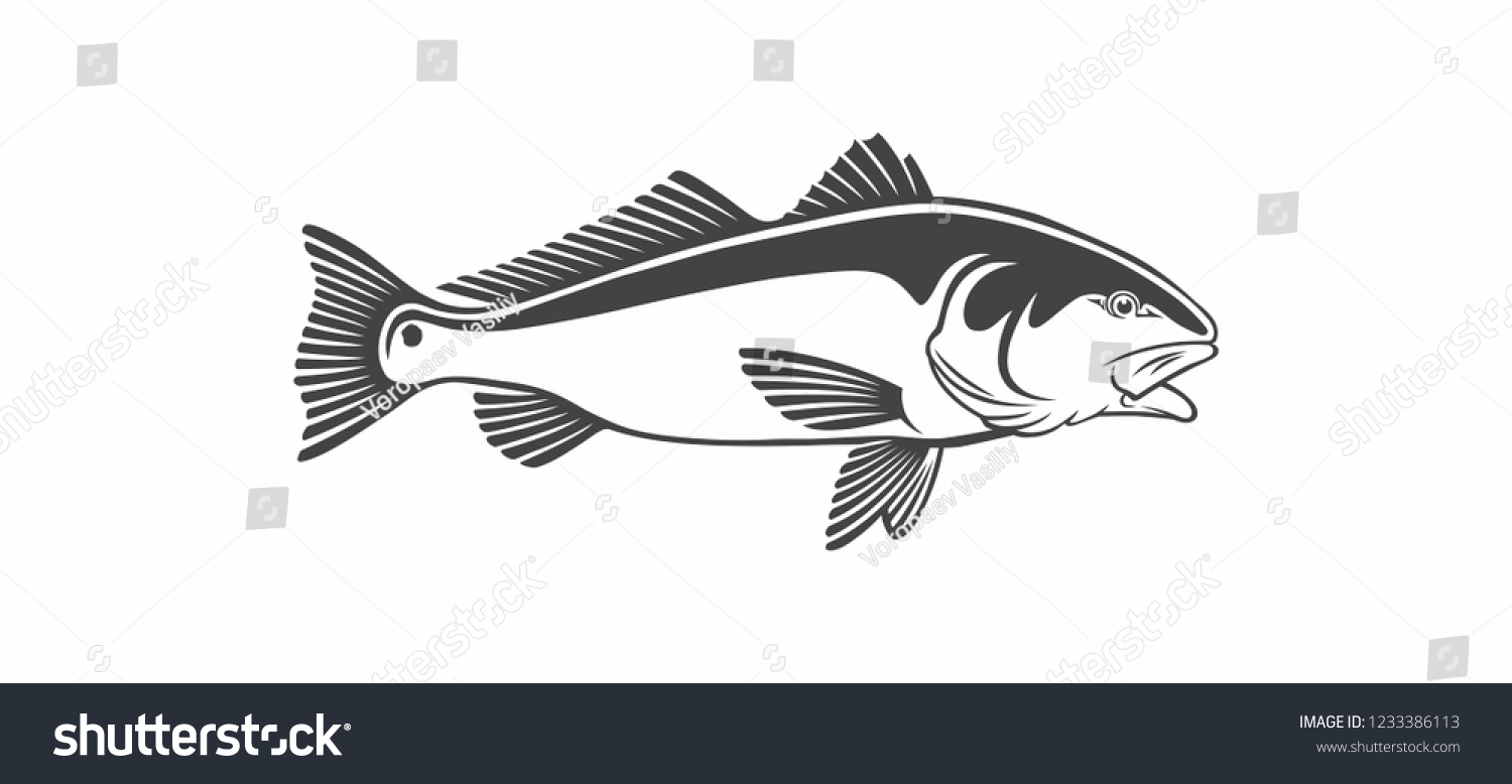 Image Fish Drum Stock Vector (royalty Free) 1233386113 