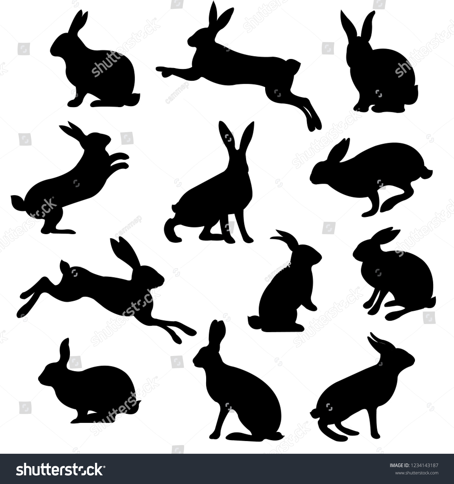 Rabbit Set Isolated Vector Illustration Stock Vector Royalty Free Shutterstock