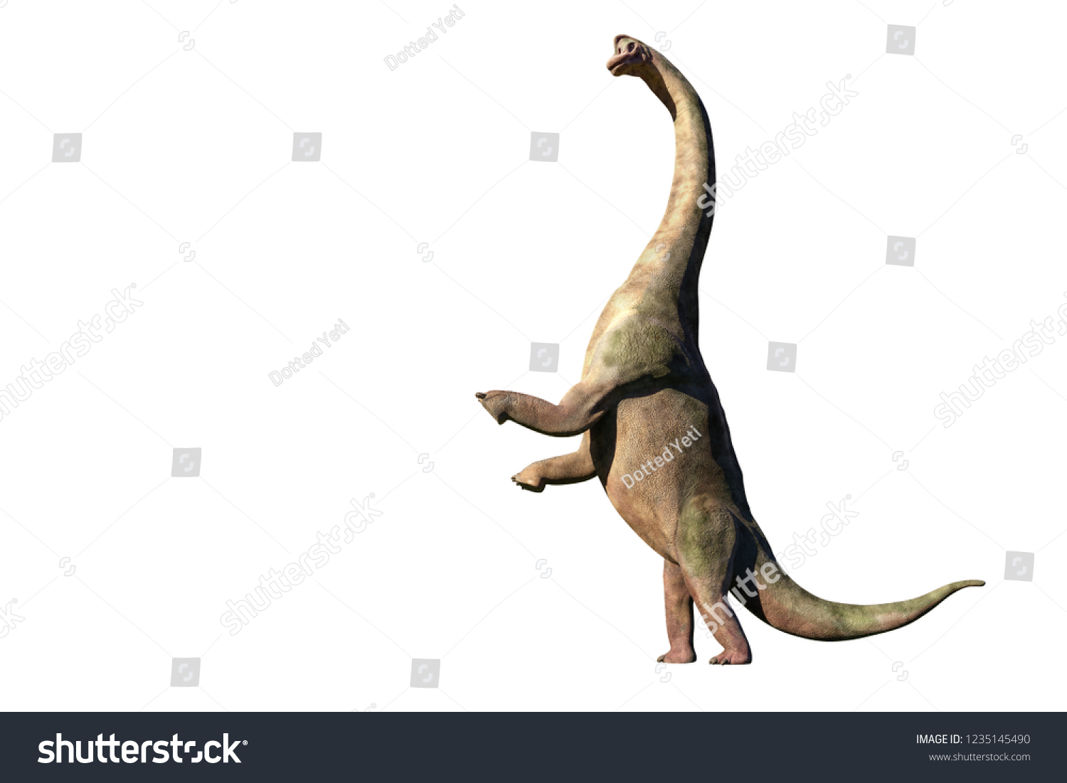 Brachiosaurus Altithorax Late Jurassic Action 3d Stock Illustration 1235145490 Shutterstock 2436