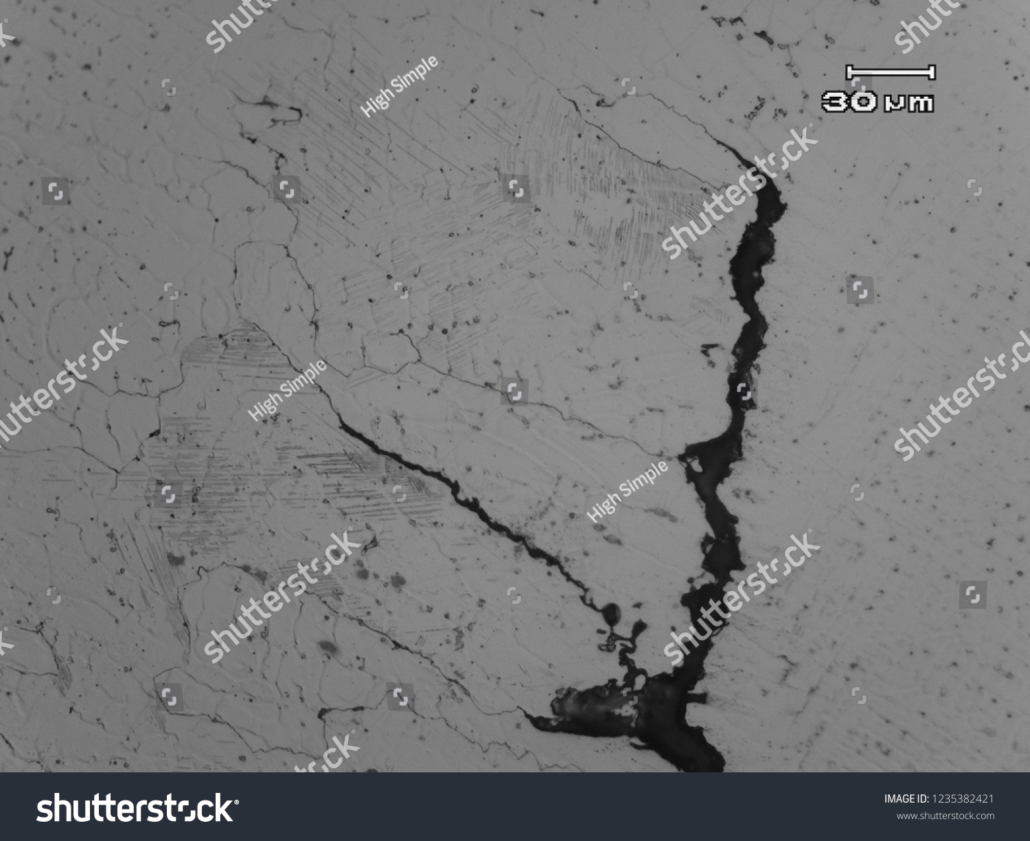 Micrograph Stainless Steel Weld Showing Dendritic Stock Photo ...