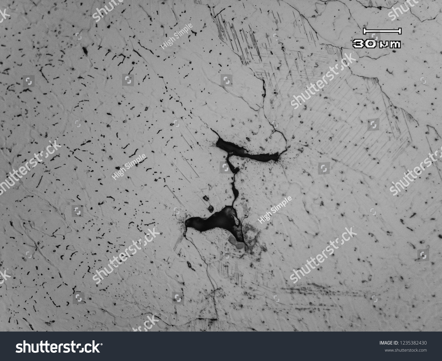 Micrograph Stainless Steel Weld Showing Dendritic Stock Photo ...