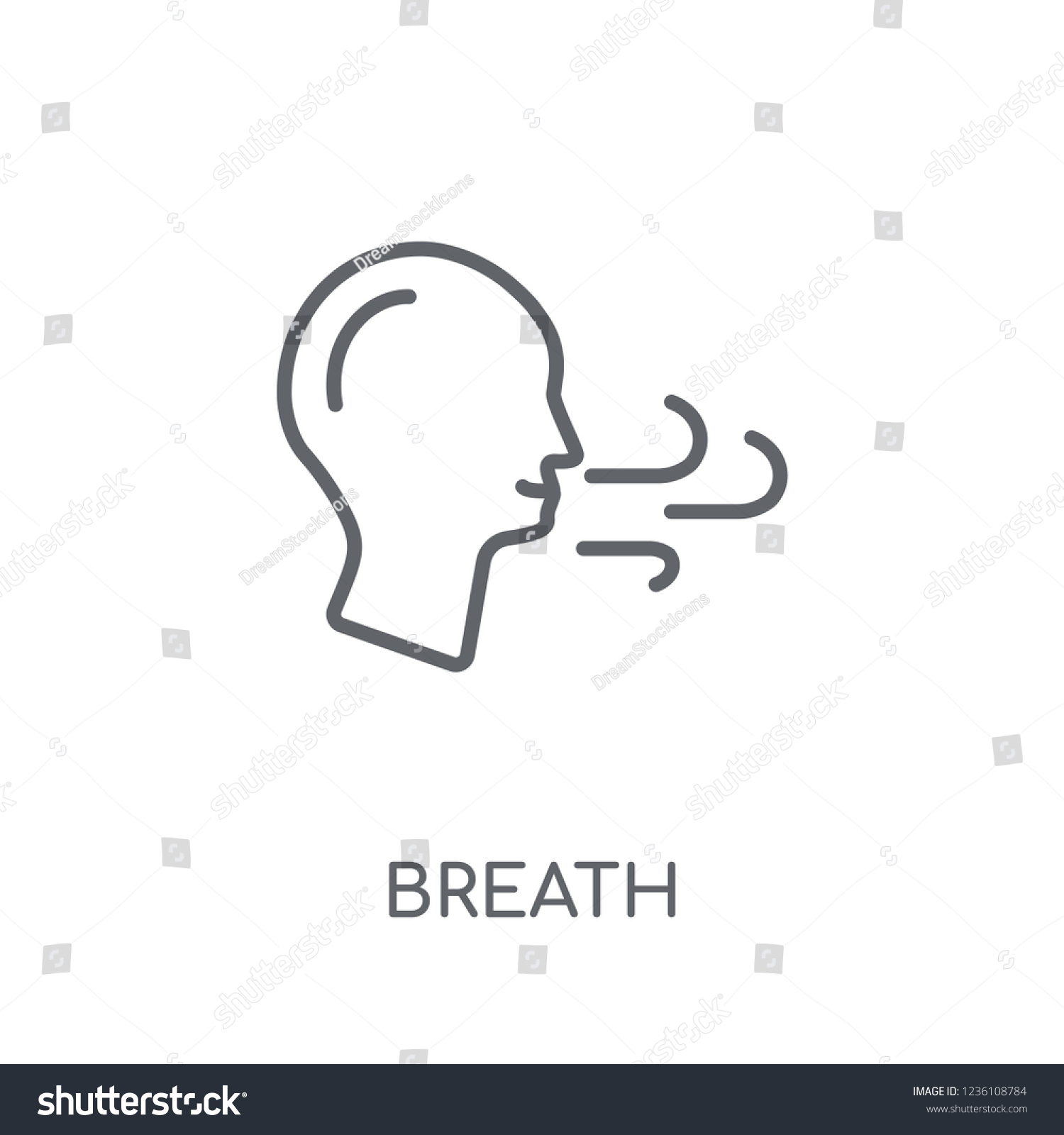 Breath Linear Icon Modern Outline Breath Stock Vector (royalty Free 