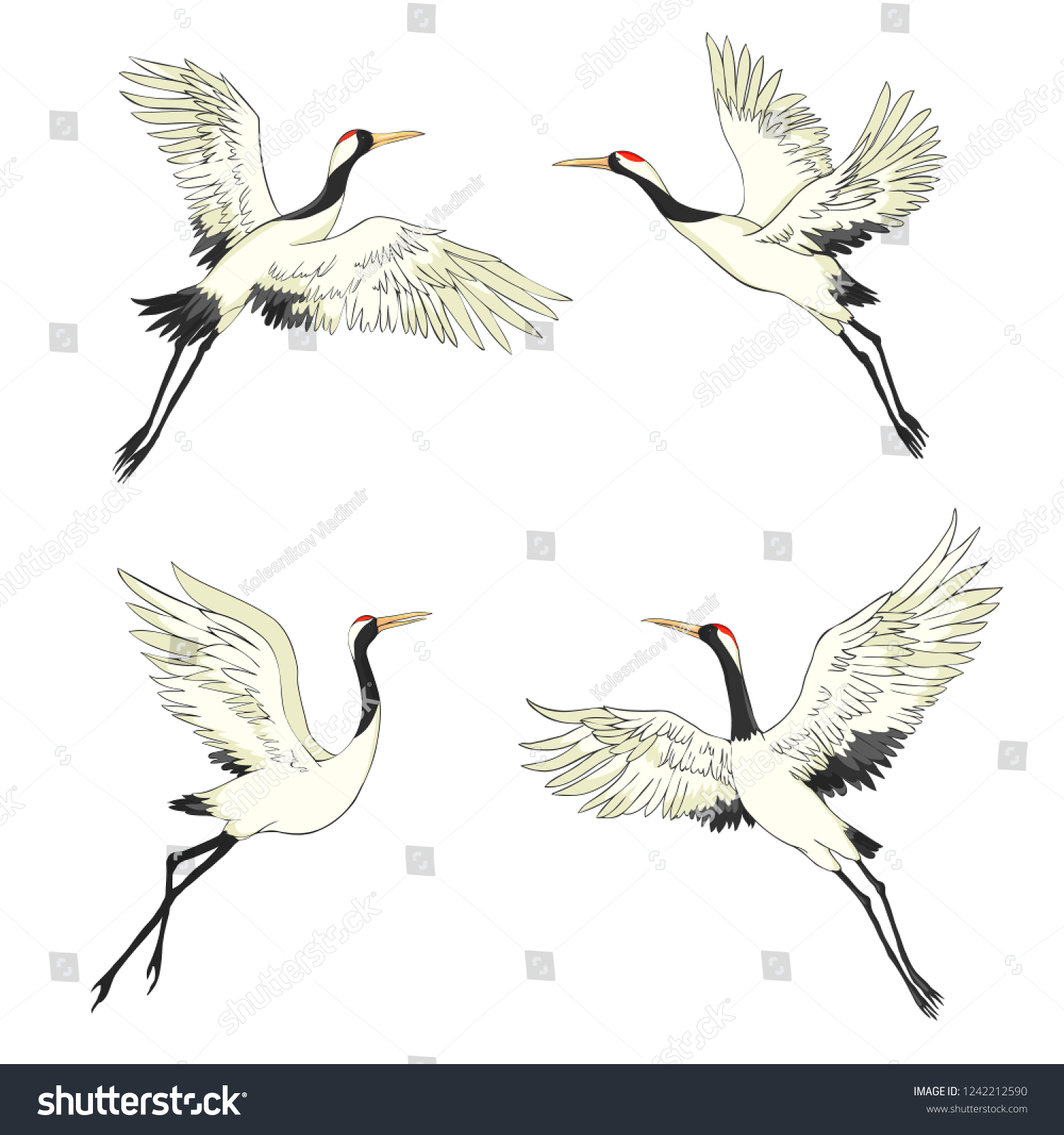 Crane Set Illustration Bird Flight Design Stock Vector (Royalty Free ...