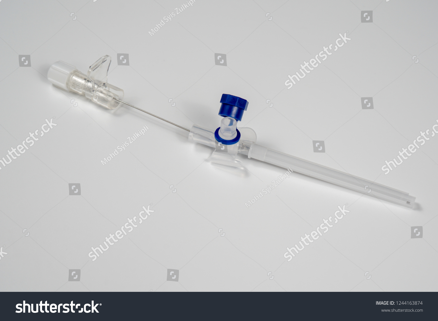 Cannula Branula Medical Needle Fluids Blood Stock Photo 1244163874 ...