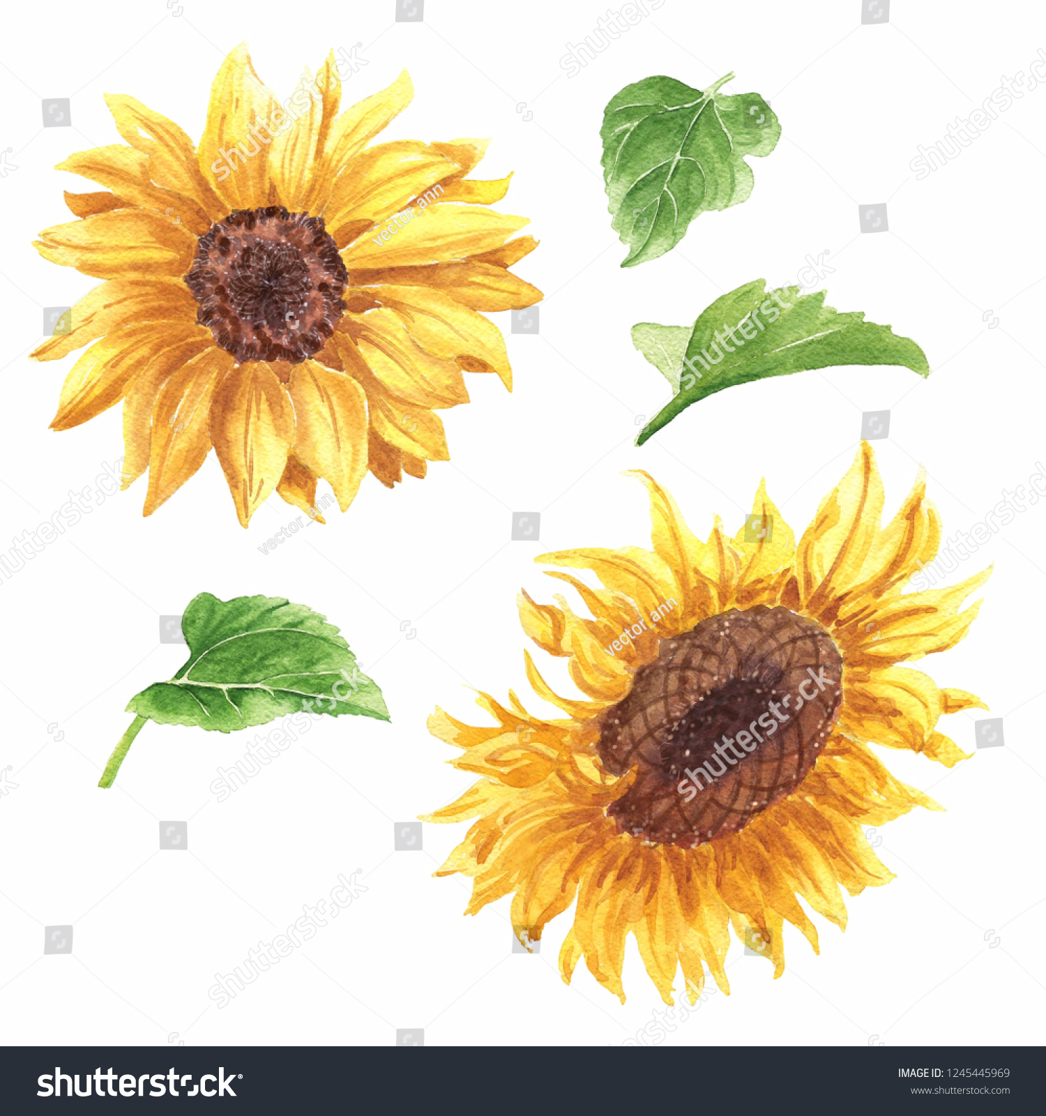 27,086 Watercolor Sunflower Images, Stock Photos & Vectors | Shutterstock