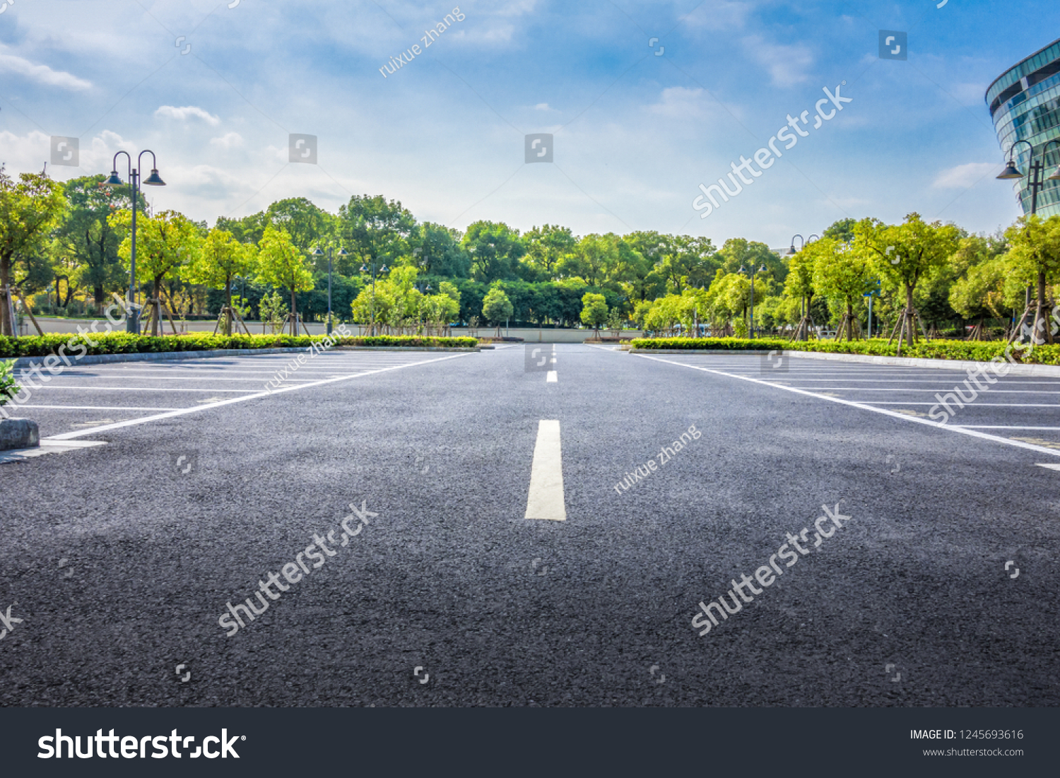 Parking Tree Stock Photo 1245693616 