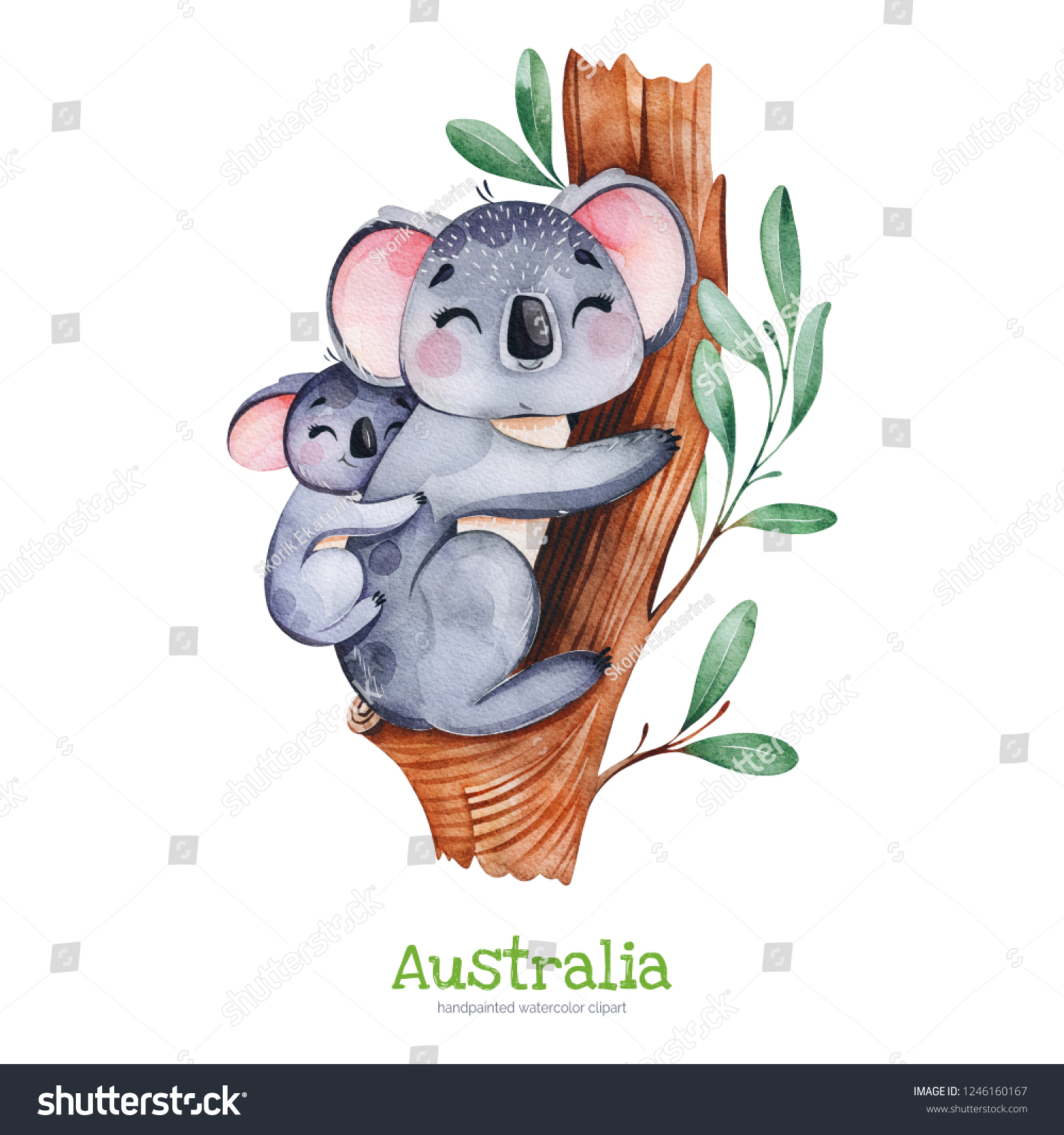 Australia Watercolor Setcute Koala Baby On Stock Illustration 