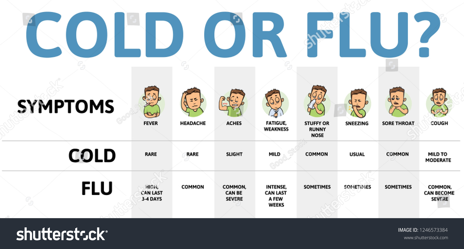 Cold Flu Symptoms Table Chart Infographic Stock Vector (Royalty Free ...