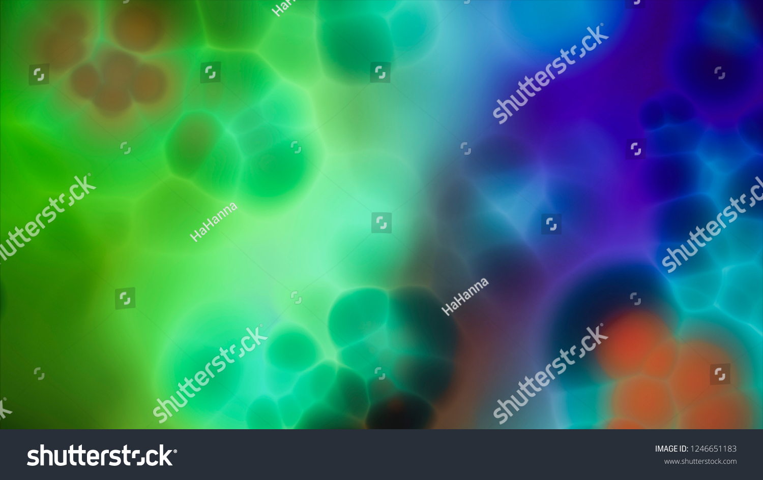 Median Section Of Human Brain Anatomical Structure Di - vrogue.co