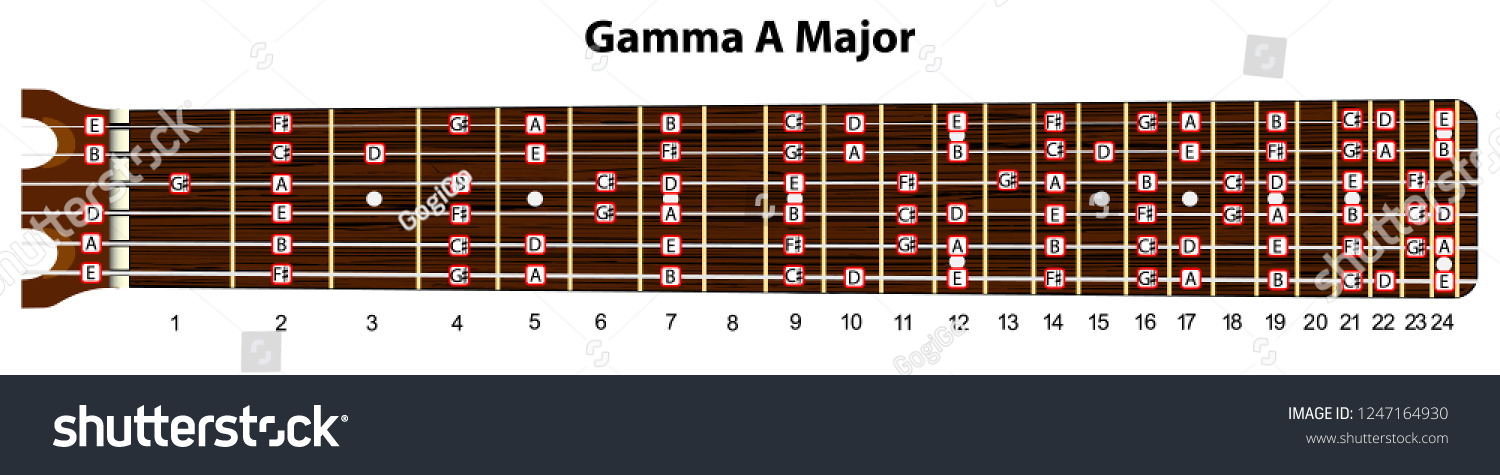 Schematic View Guitar Neck Scale Major Stock Vector (Royalty Free