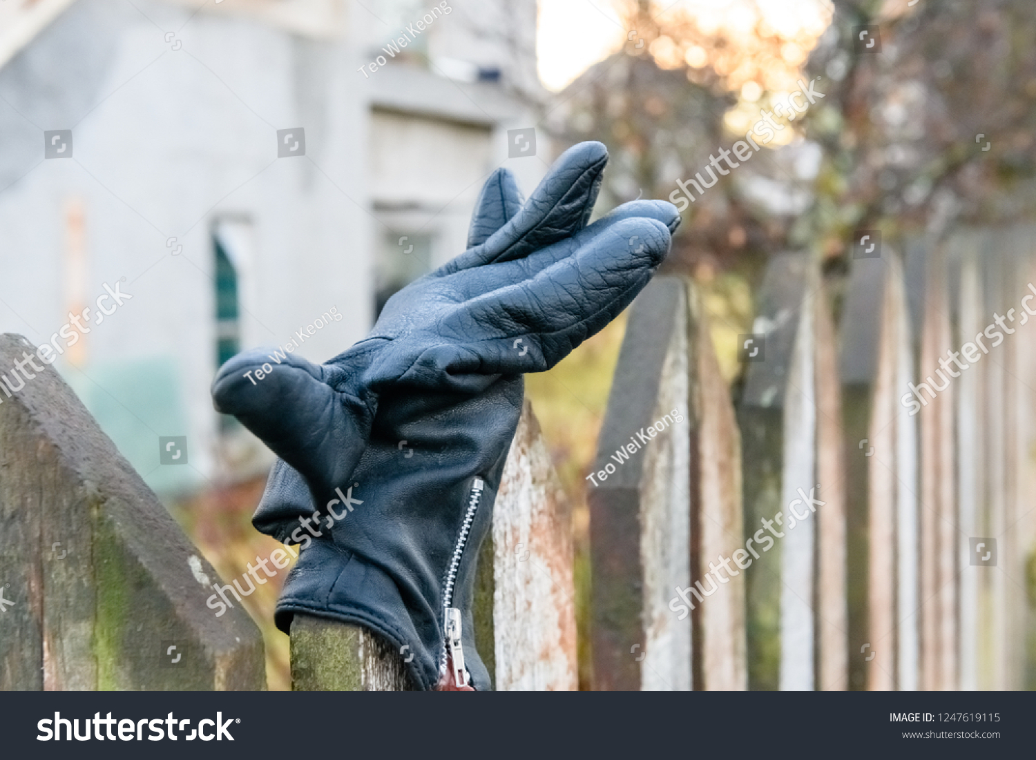 iceland rubber gloves