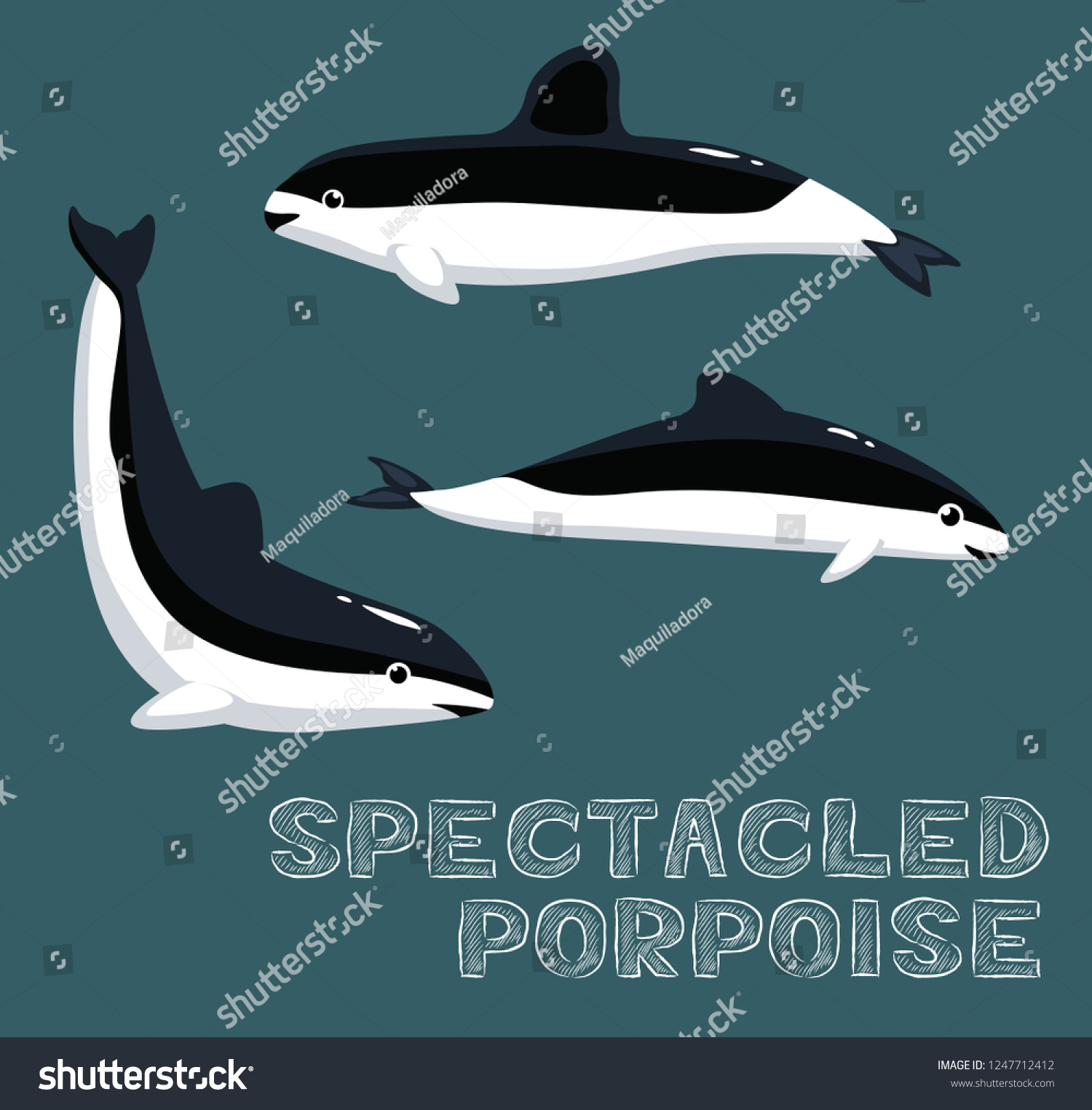 Spectacled Porpoise Cartoon Vector Illustration Stock Vector (royalty 