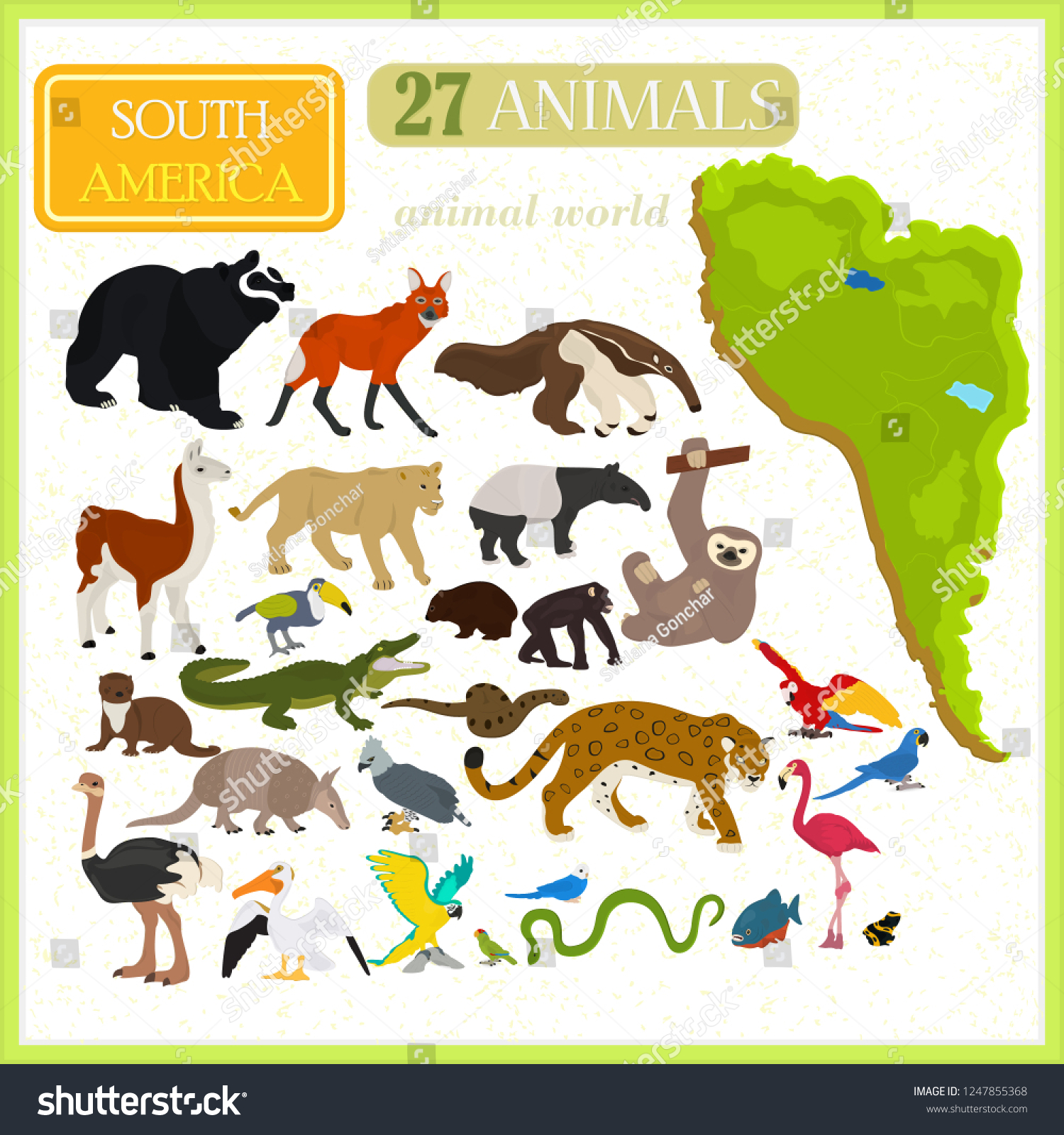 Set Animals South America Map South Stock Vector (Royalty Free ...