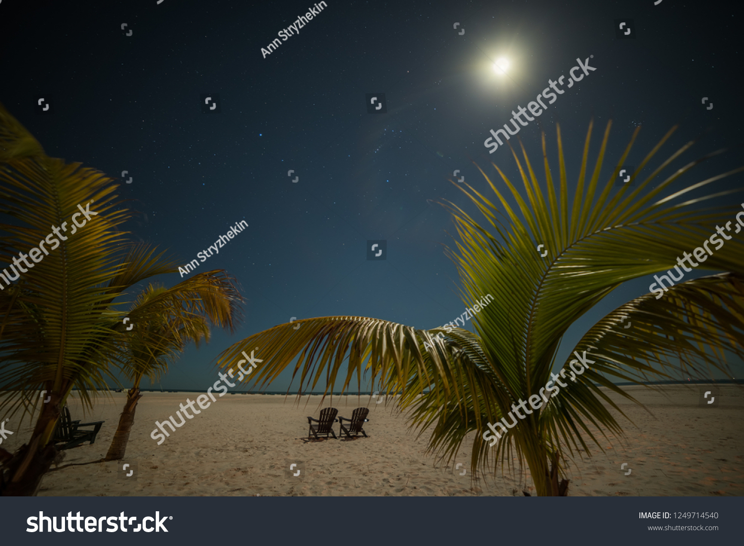 Tropical Beach Palm Trees Night Two Stock Photo 1249714540 | Shutterstock