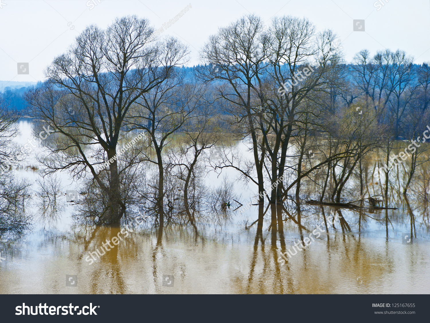 Река разливалась широченным озером впр. Река лужа Калужская область. Река Суходрев Калужской области. Река лужа в Малоярославце. Река лужа разлив.