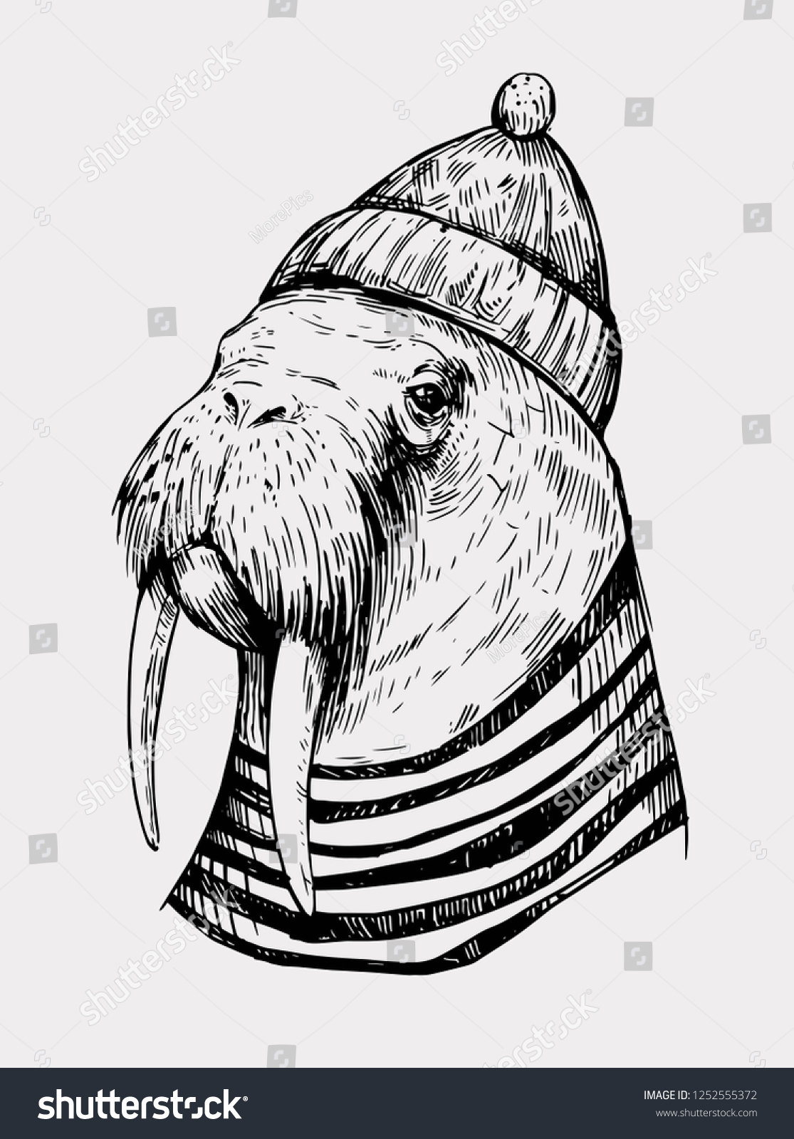 Графическое изображение моржа
