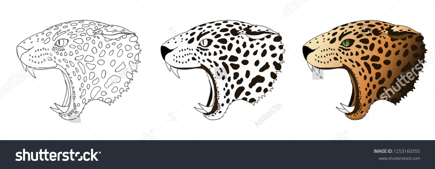 Angry Leopard Portrait Coloring Book Phases Stock Illustration