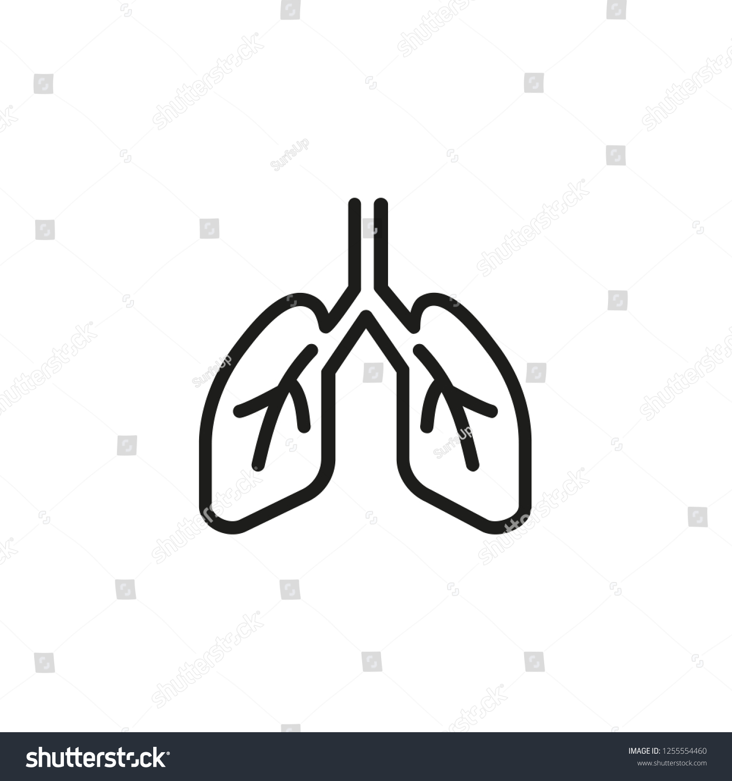 Human Lungs Line Icon Breath Bronchi Stock Vector (Royalty Free ...