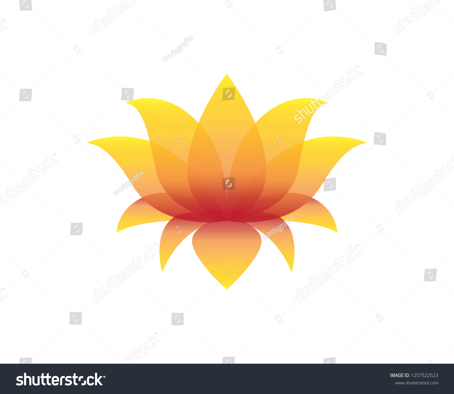 Lotus Flower Vector Illustration Stock Vector Royalty Free 1257522523 Shutterstock 1295