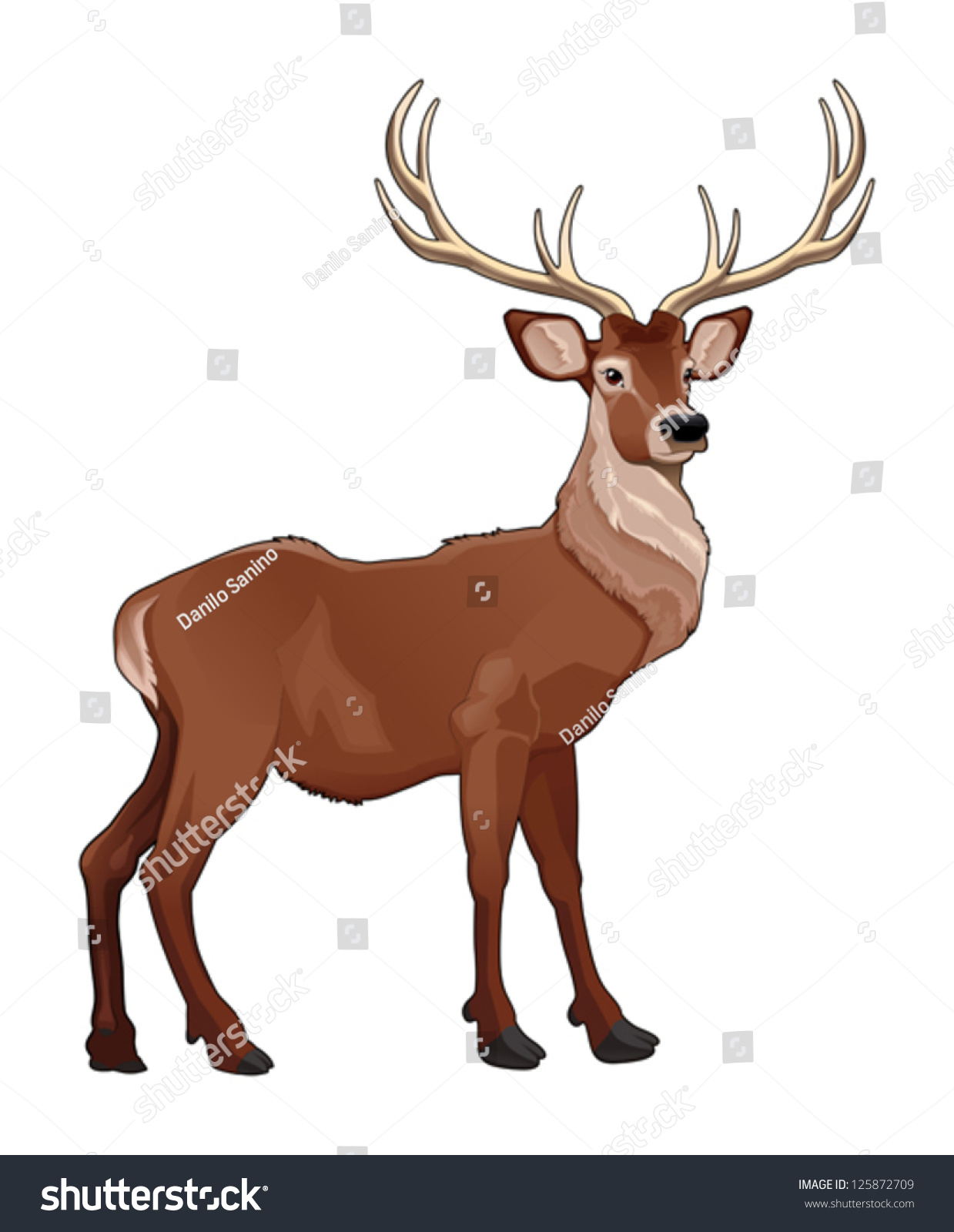 Elegant Deer Vector Isolated Animal Stock Vector (Royalty Free ...