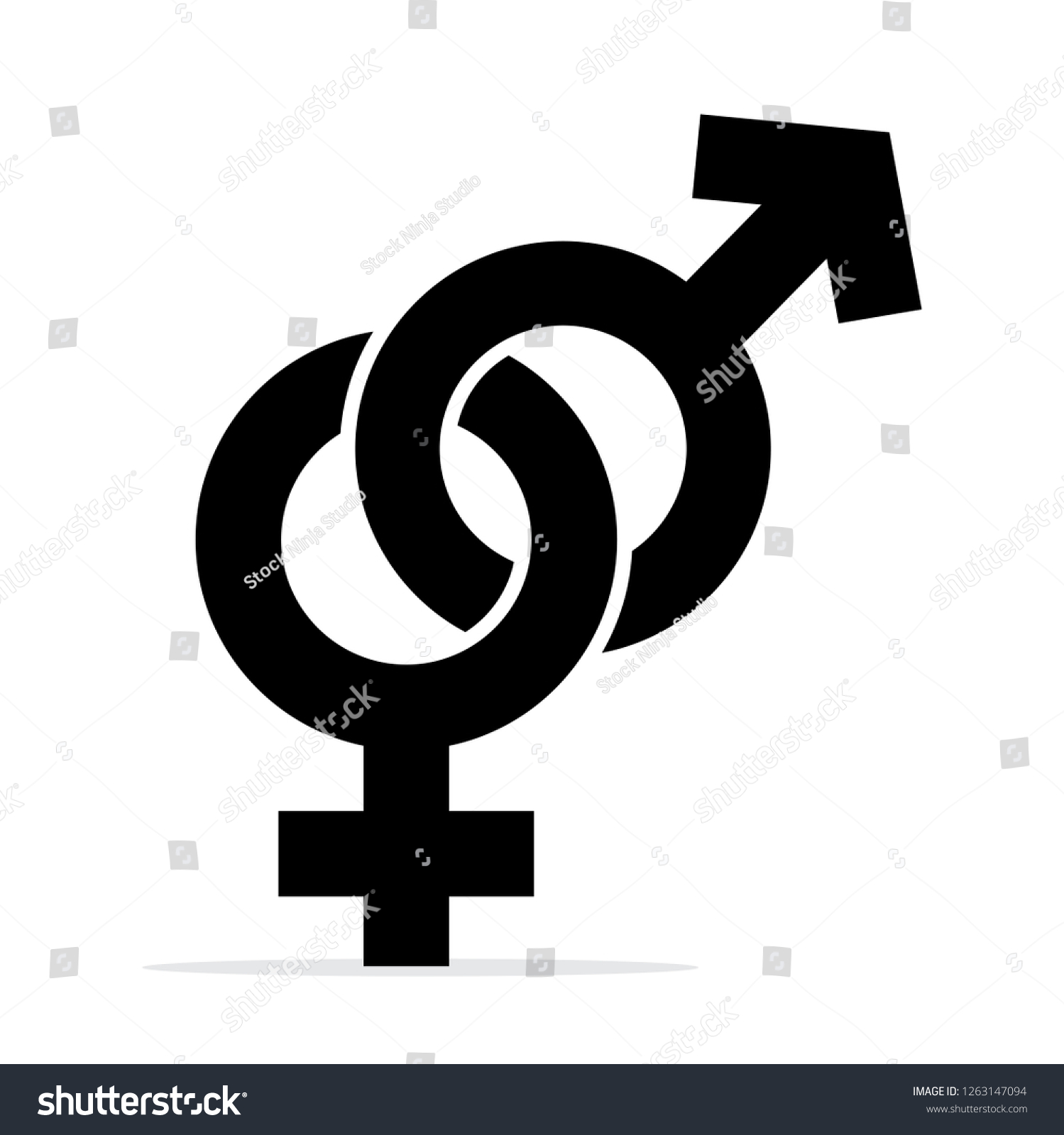 Gender Symbol Isolated White Background Vector Stock Vector (Royalty ...