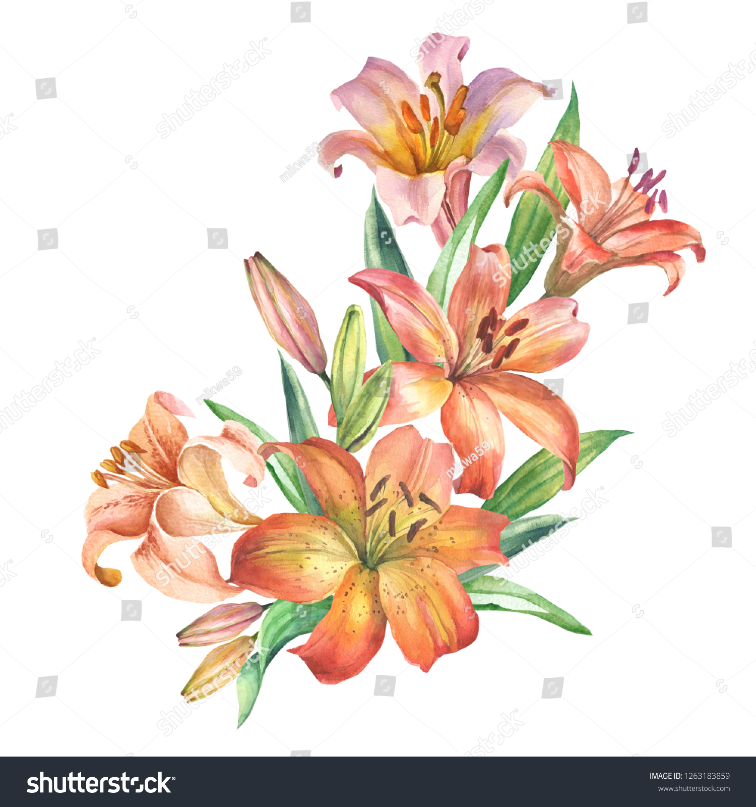 Flowers Bouquet Watercolor Lily Stock Illustration 1263183859 