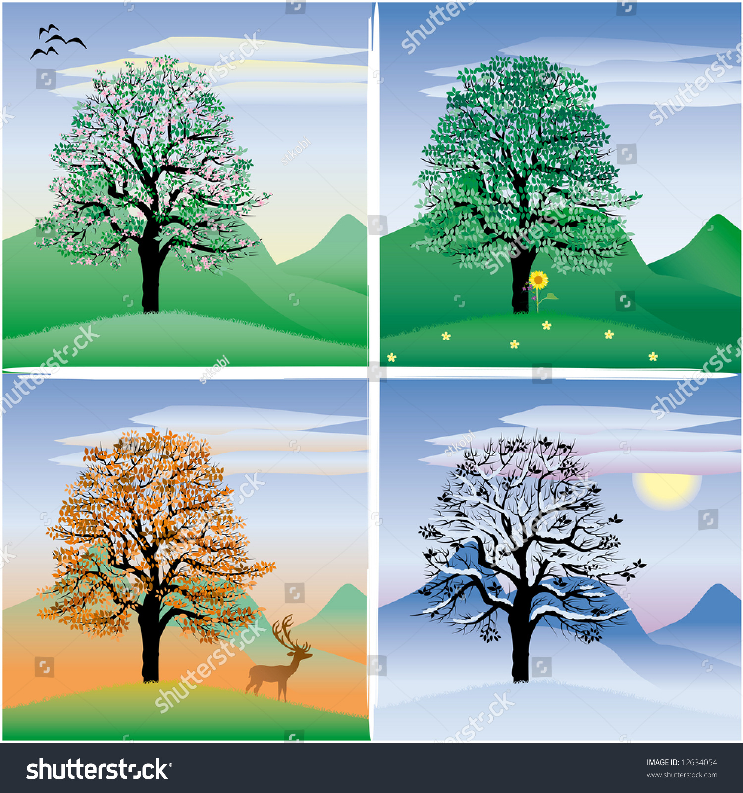 Дерево в разные сезоны года