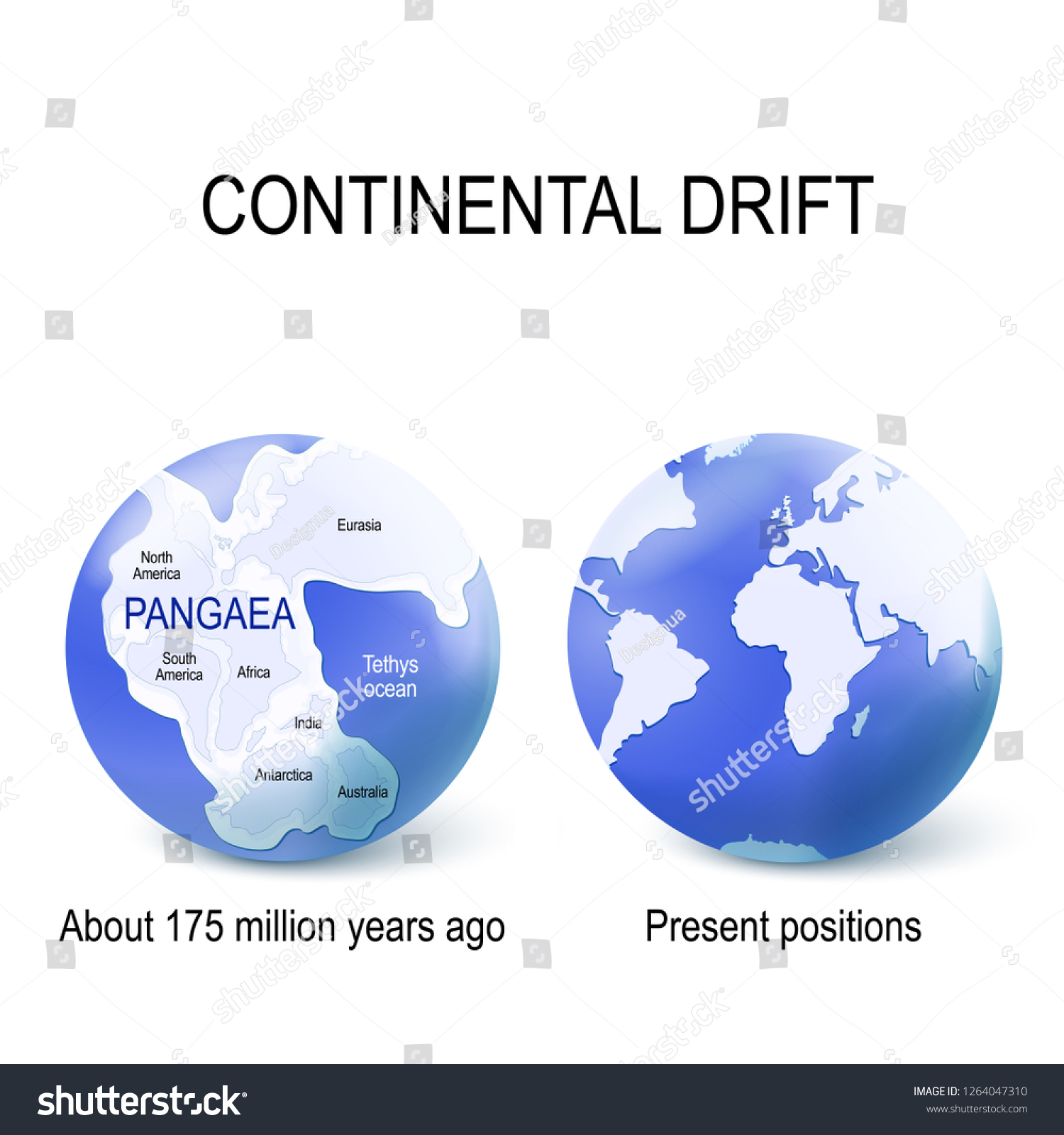 Continental Drift Pangea Map Map Pangaea On Globe Modern Continental Stock Vector (Royalty Free)  1148078807 | Shutterstock