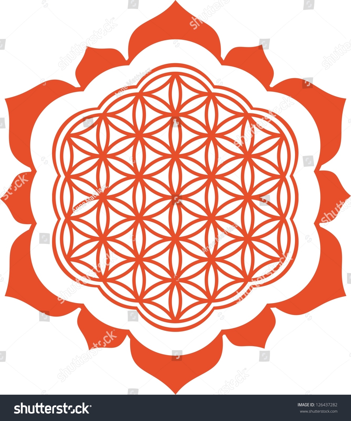 Vector Image Lotus Flower Life Symbol Stock Vector (Royalty Free ...