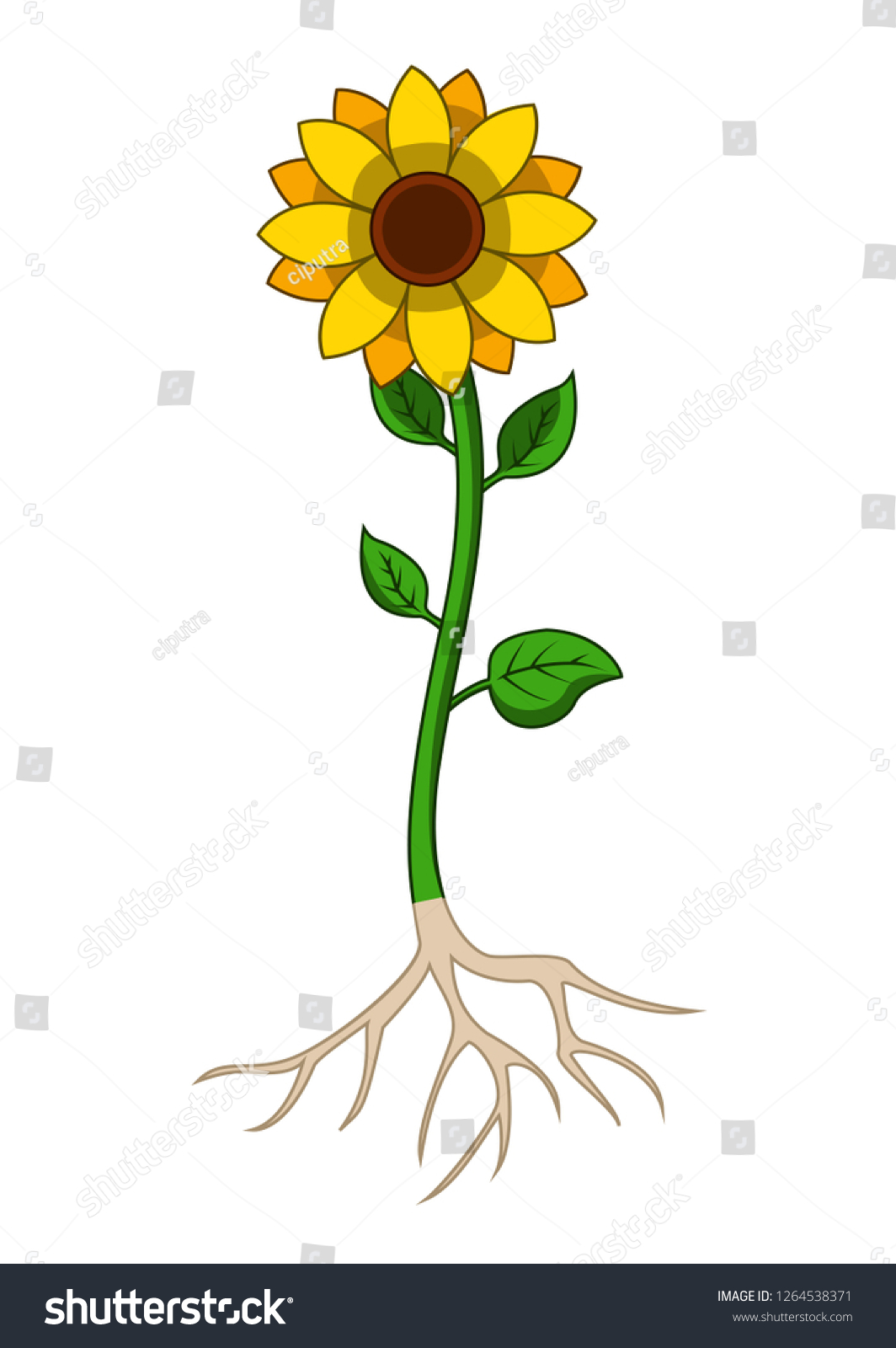 Illustration Sunflowers Tree Root System Stock Illustration 1264538371 Shutterstock