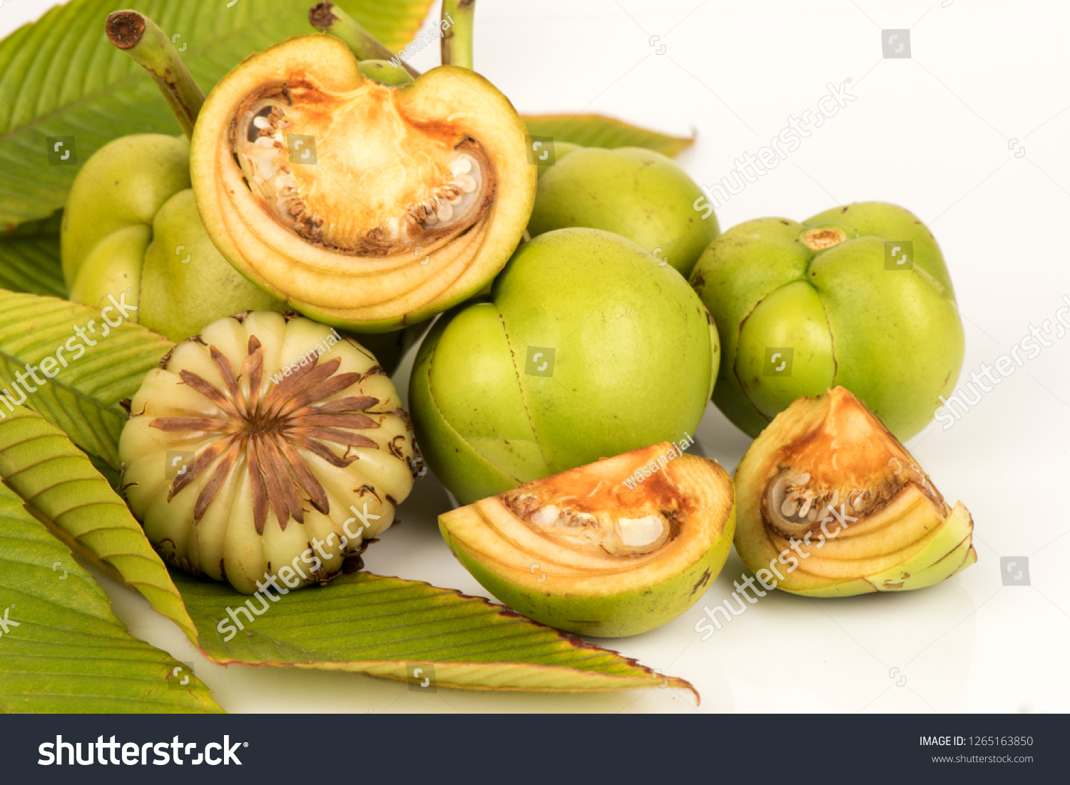 dillenia-indica-chalta-green-leaves-fruits-stock-photo-1265163850