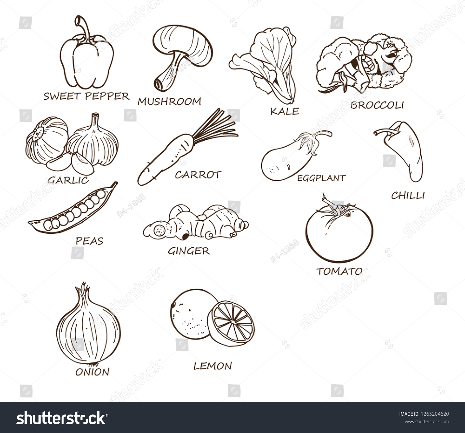 白黒の野菜コレクションのベクターイラスト のベクター画像素材 ロイヤリティフリー Shutterstock