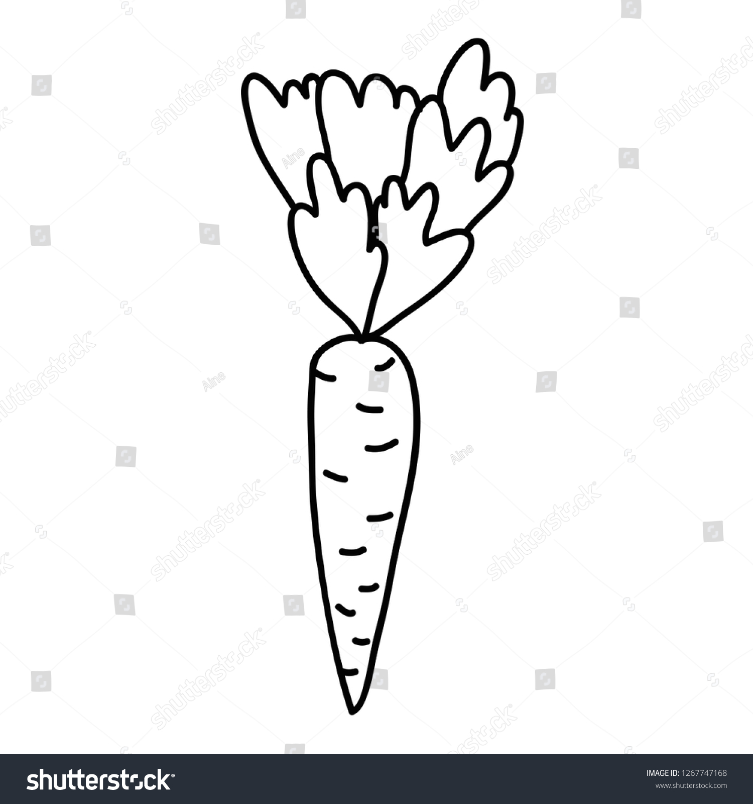 Cartoon Doodle Linear Carrot Leaves Isolated Stock Vector (Royalty Free