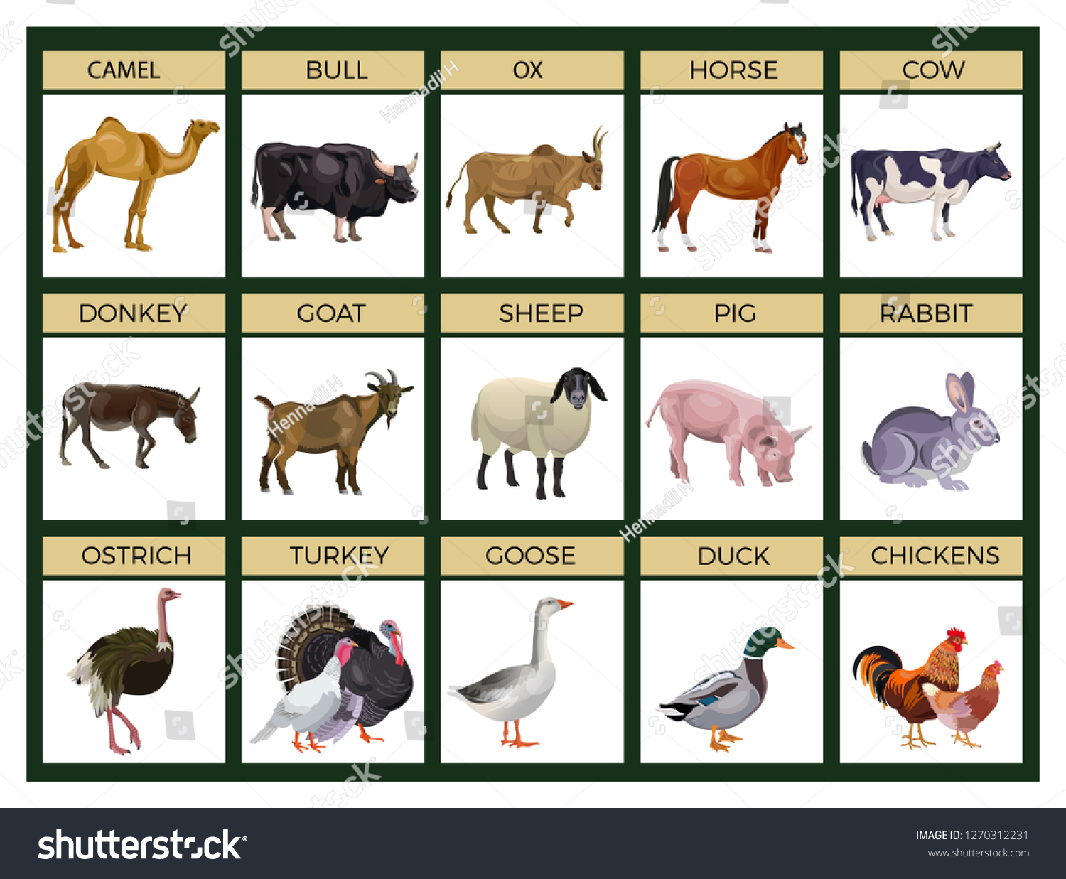 Set Farm Animals Cattle Livestock Poultry Stock Vector (Royalty Free ...