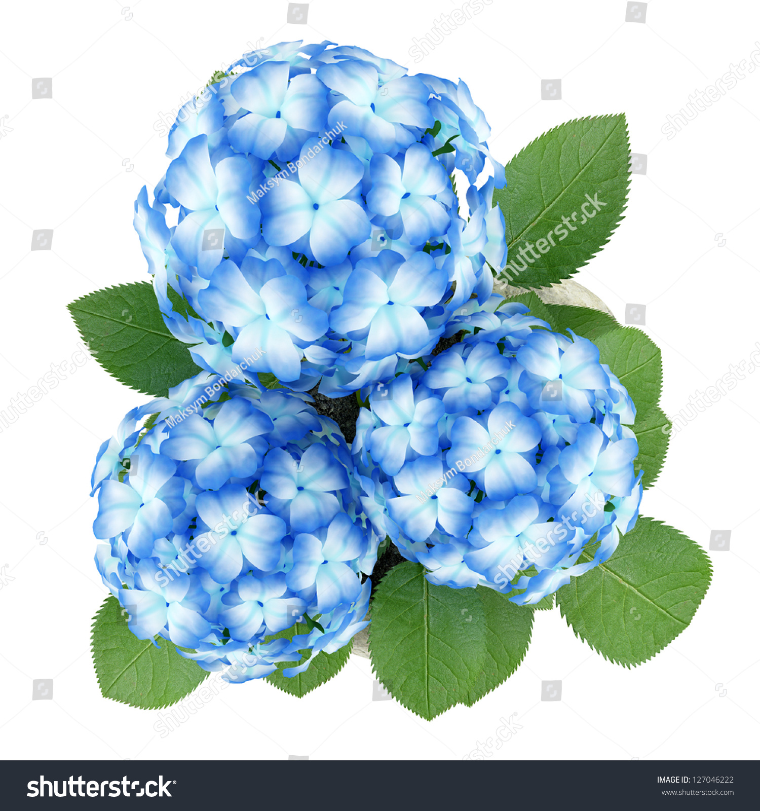 Top View Blue Flower Stone Pot Stock Illustration 127046222 | Shutterstock